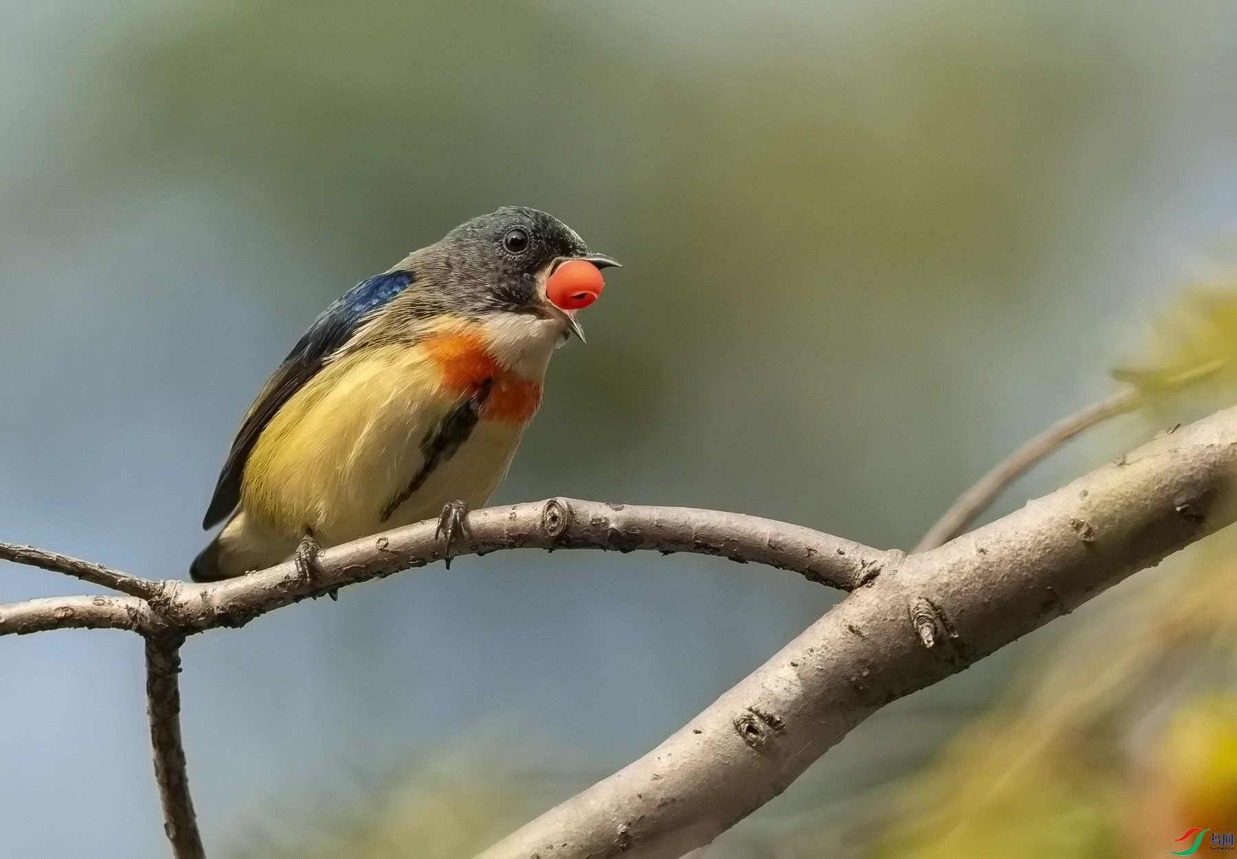 �����Ļ��� (4)-1.jpg