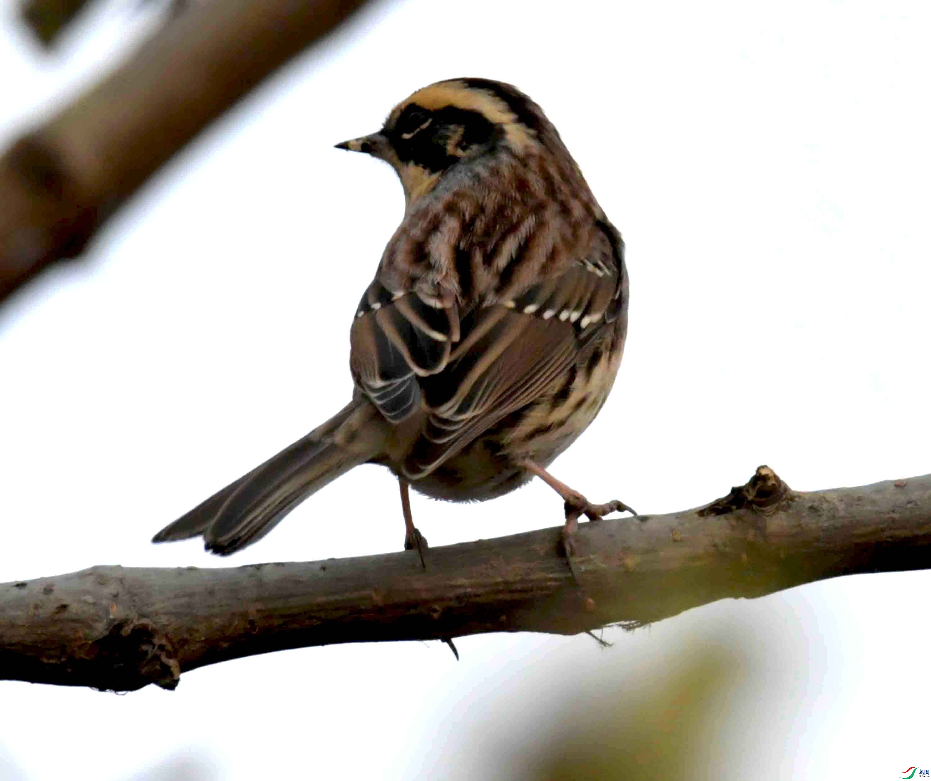 DSC_8542.JPG