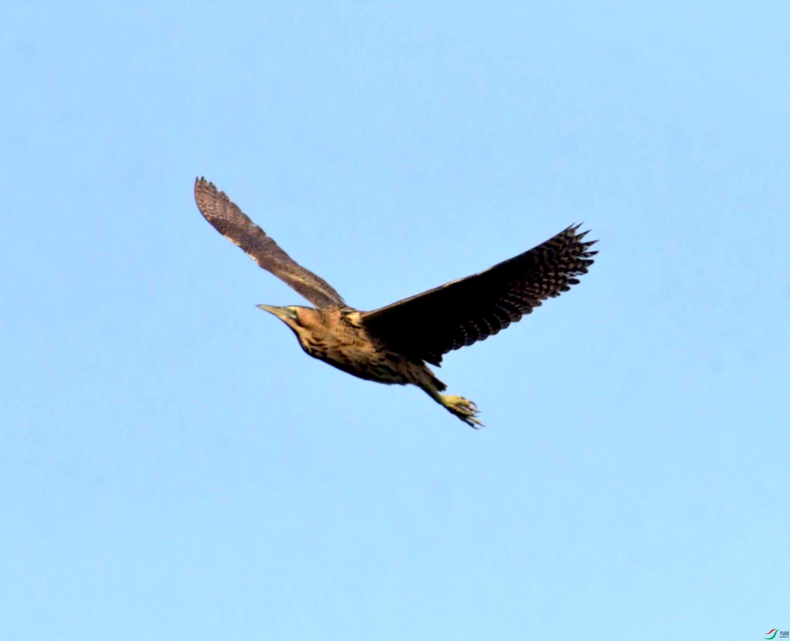 DSC_0156.JPG