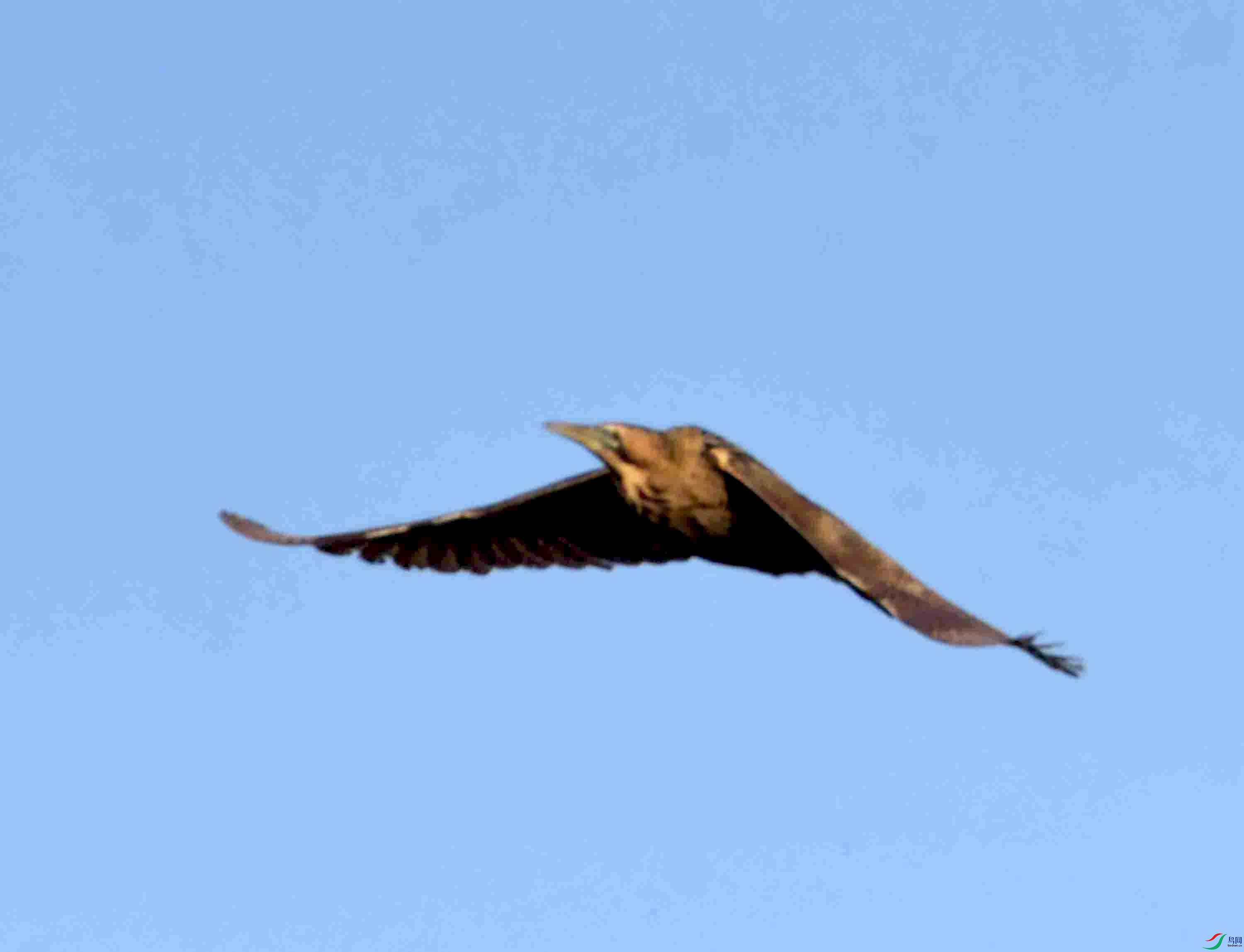 DSC_0159.JPG