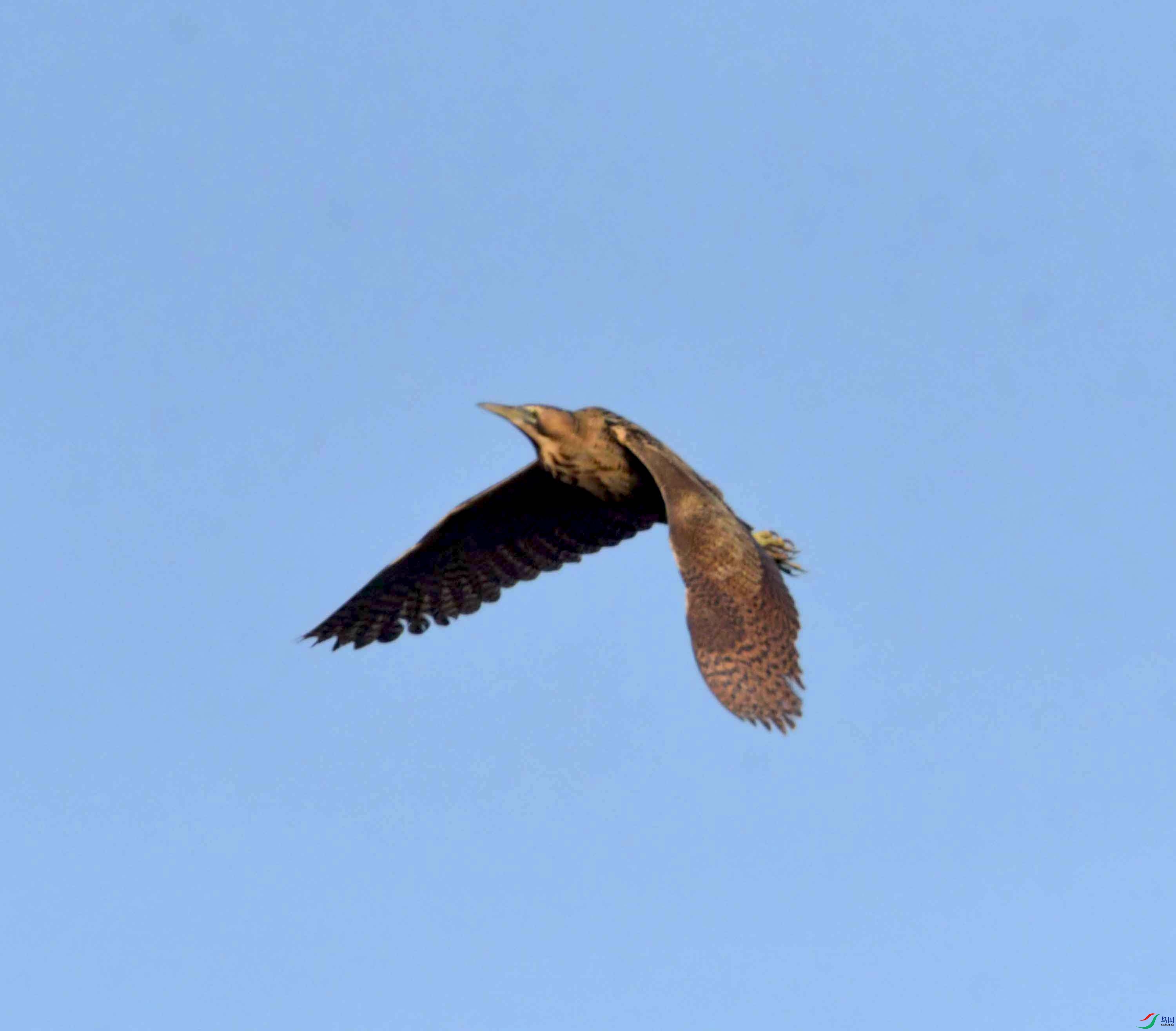 DSC_0157.JPG