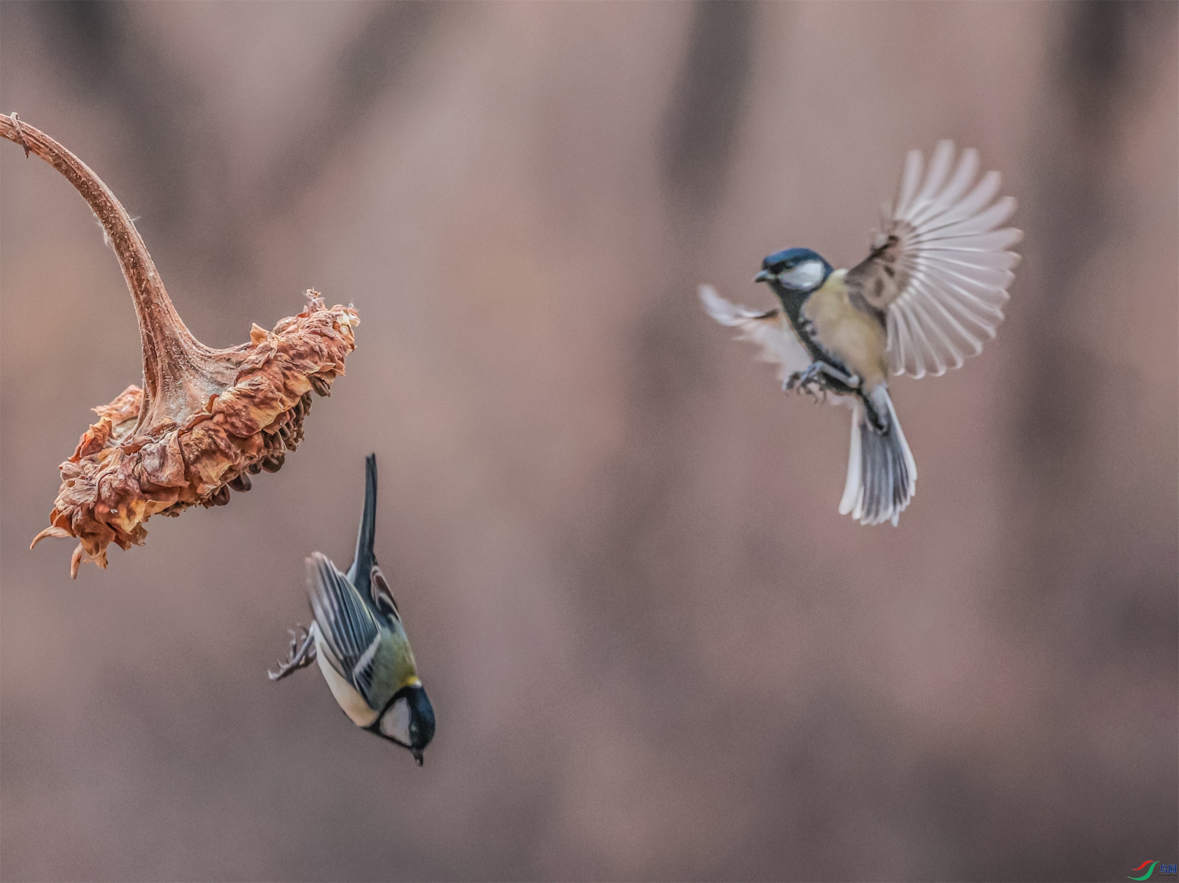 1K3A7181 ����1.jpg