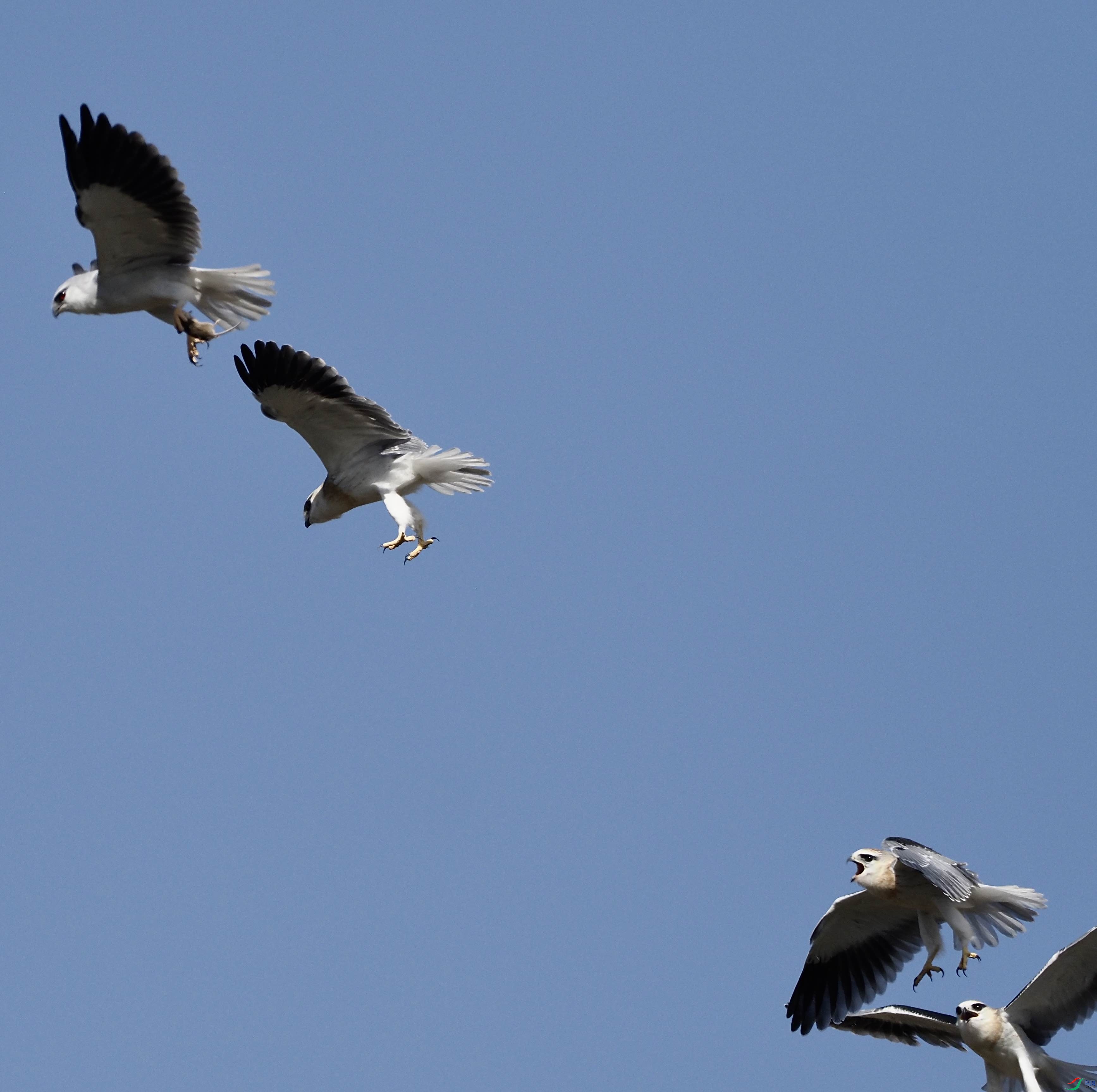 ����������ֵ���ϰ����