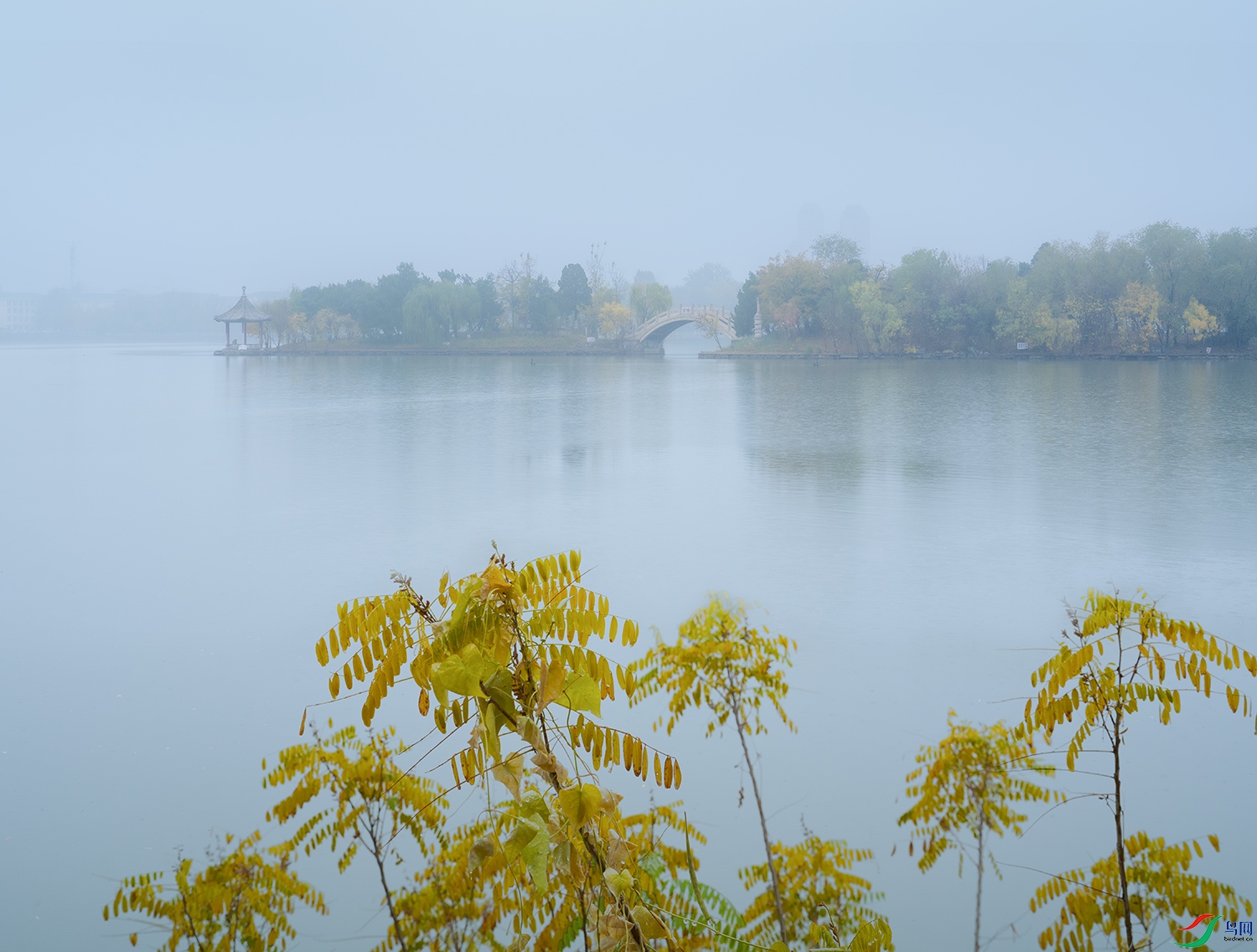 _DSC3721-1.jpg