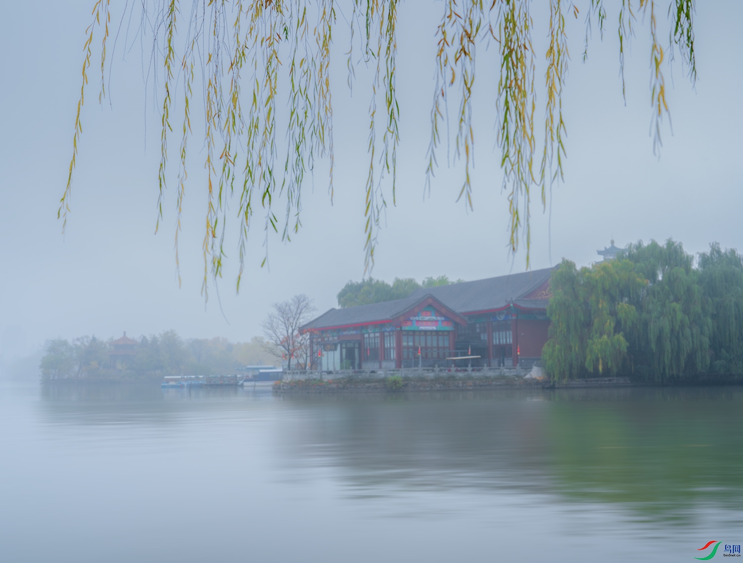 _DSC3769-1.jpg