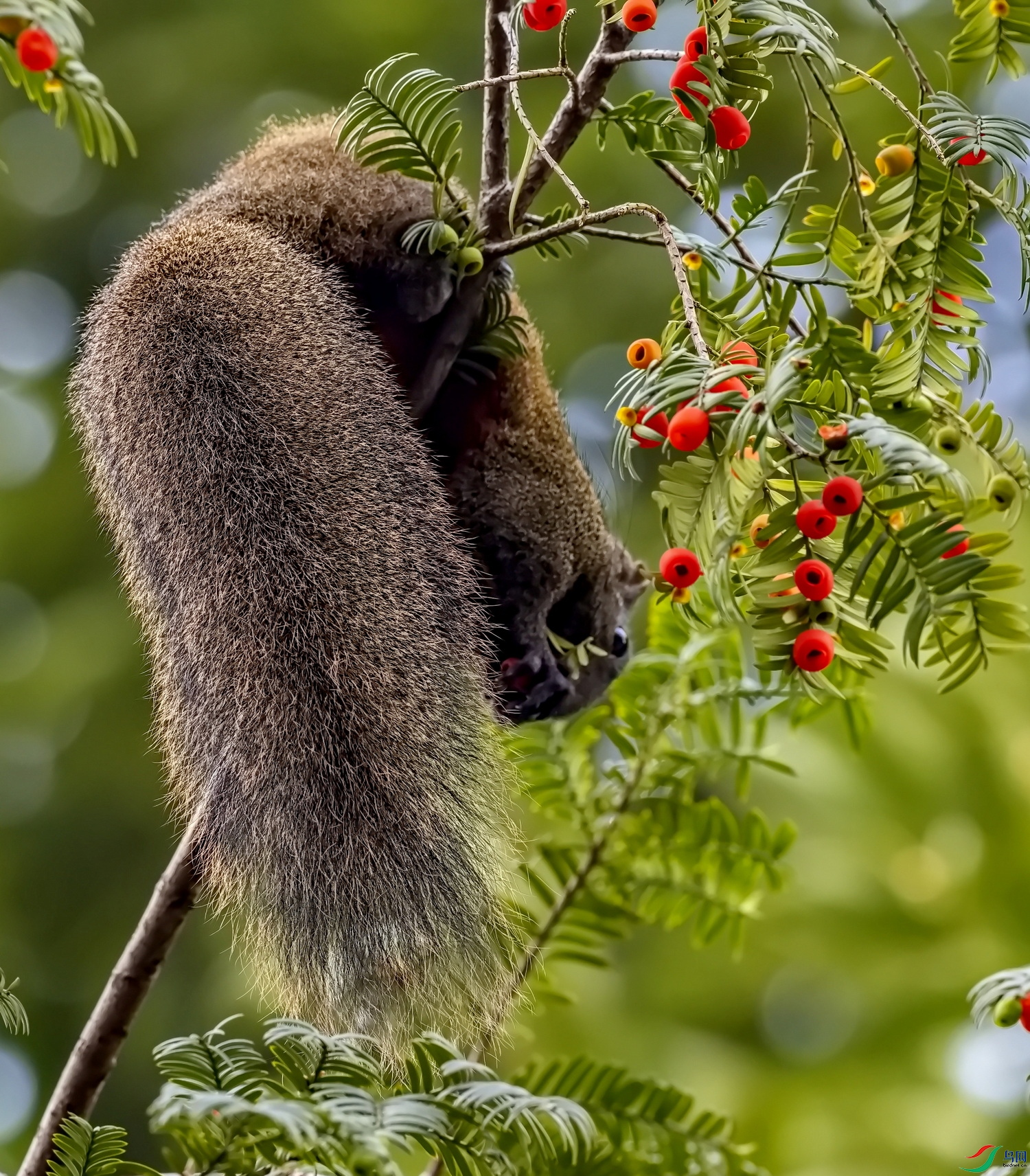 ���� (28)-1.jpg