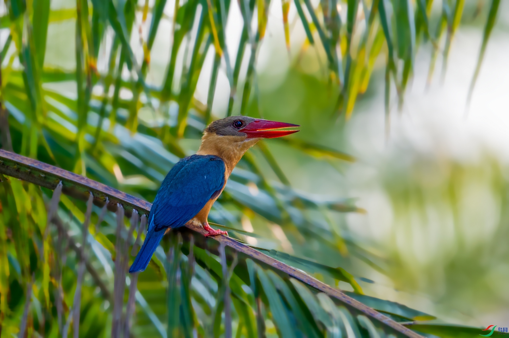 DSC_2954.jpg