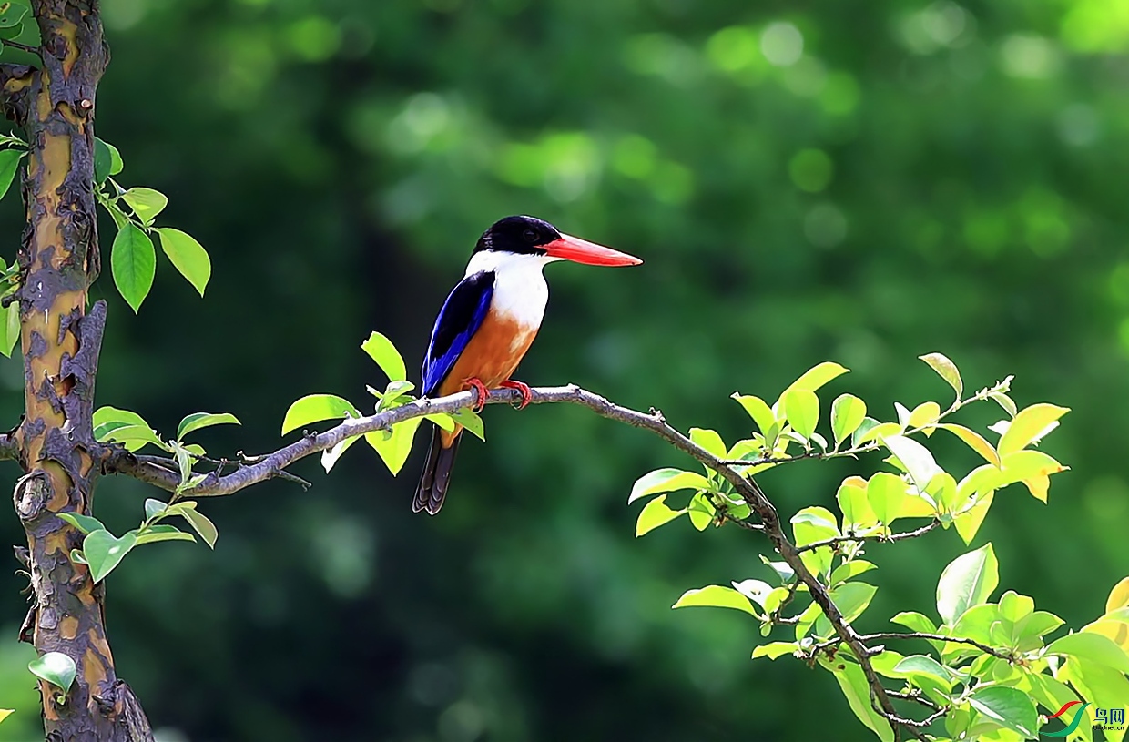 2022-11-12 12-29-19_����.jpg