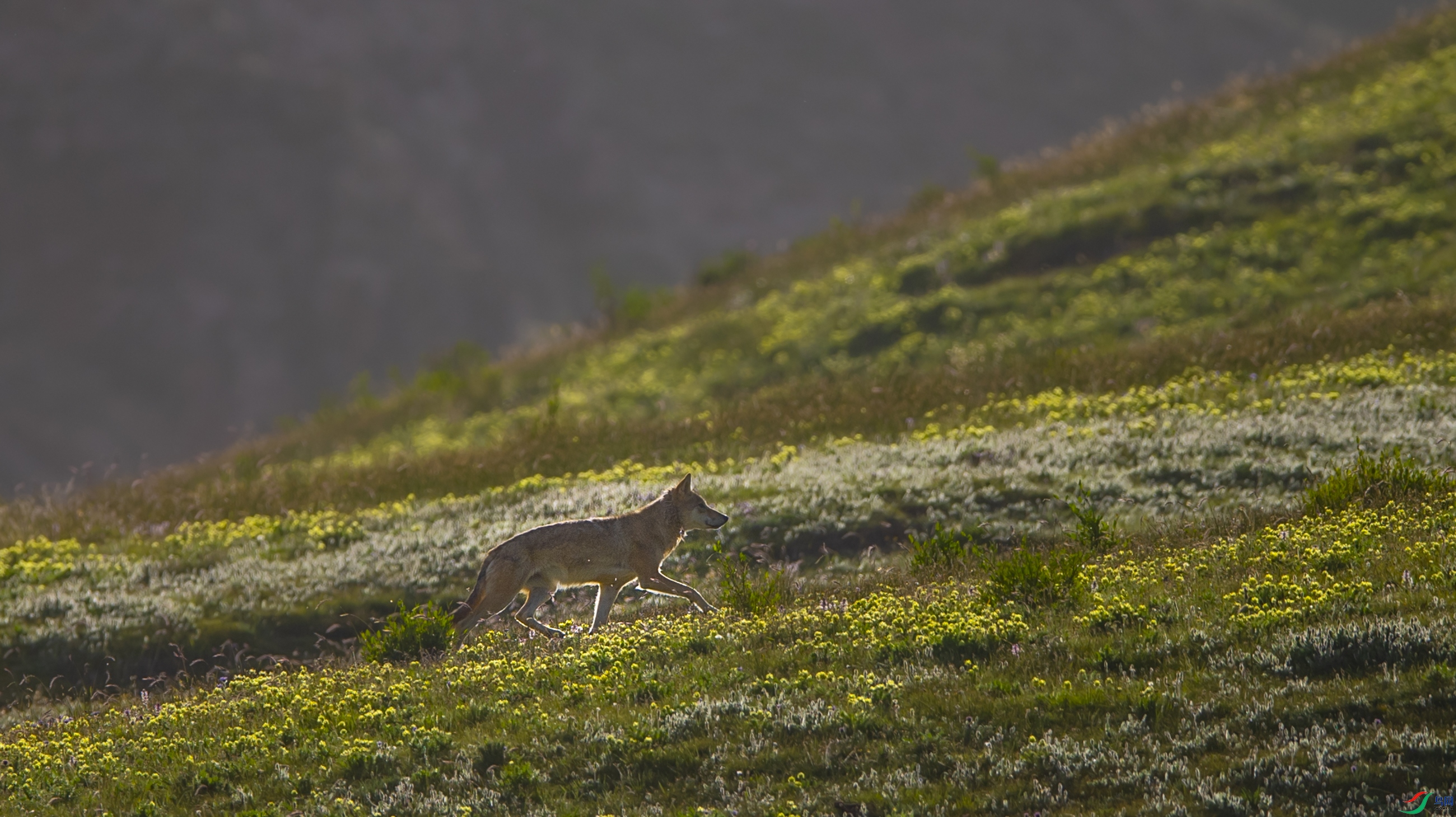 DSC_6393��.JPG
