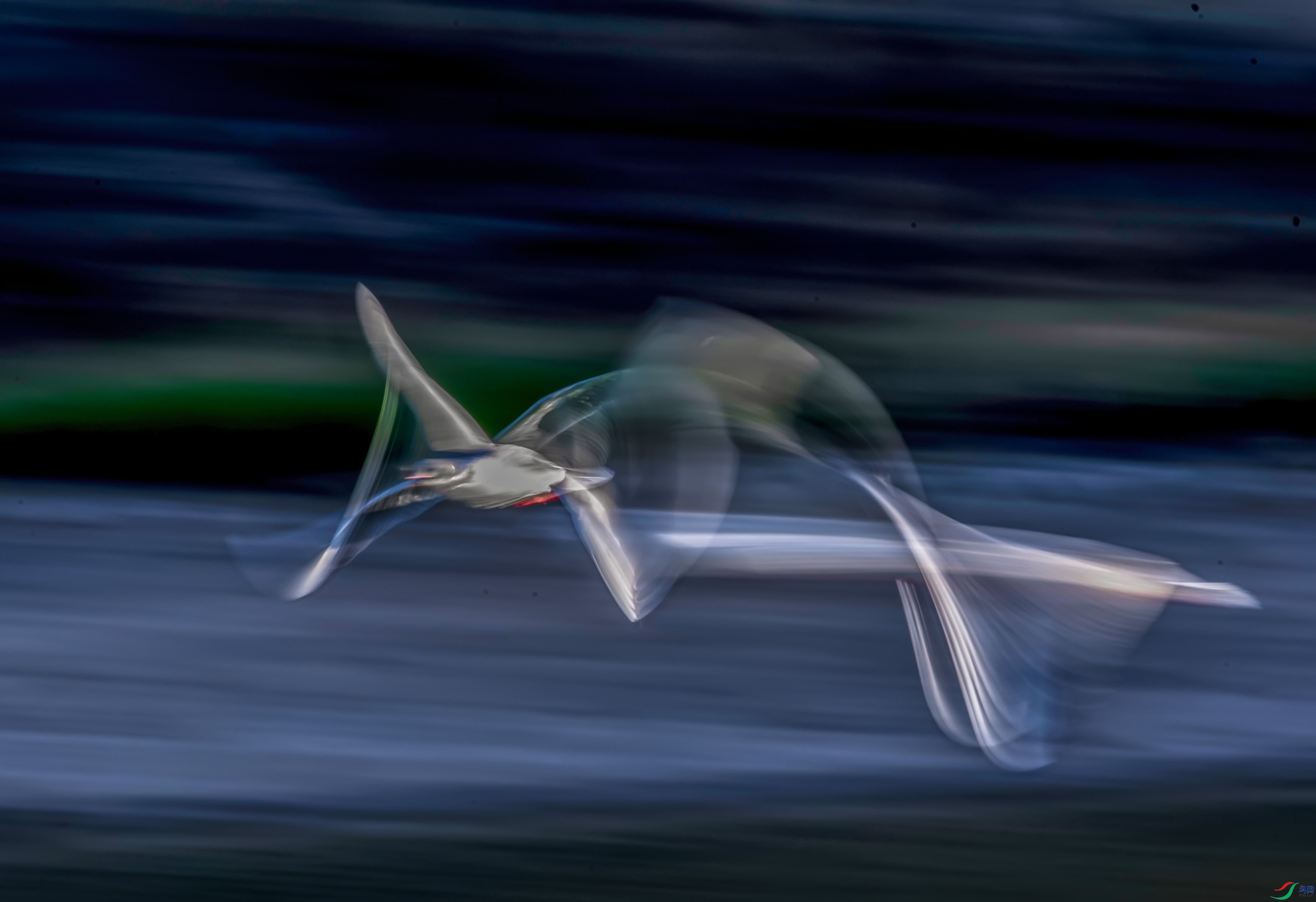_JLN4035_1.jpg