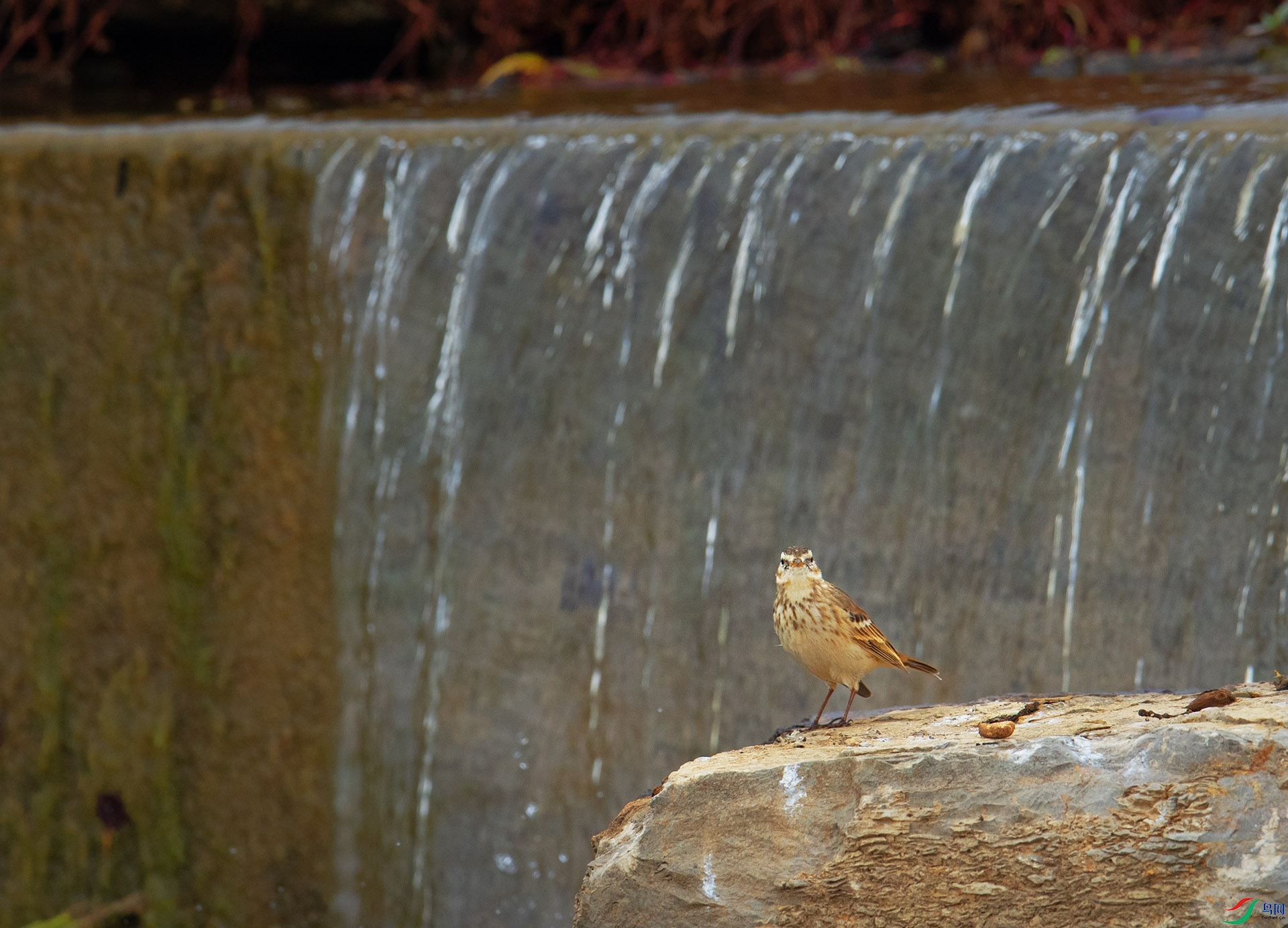 DSC_4683 -1.jpg