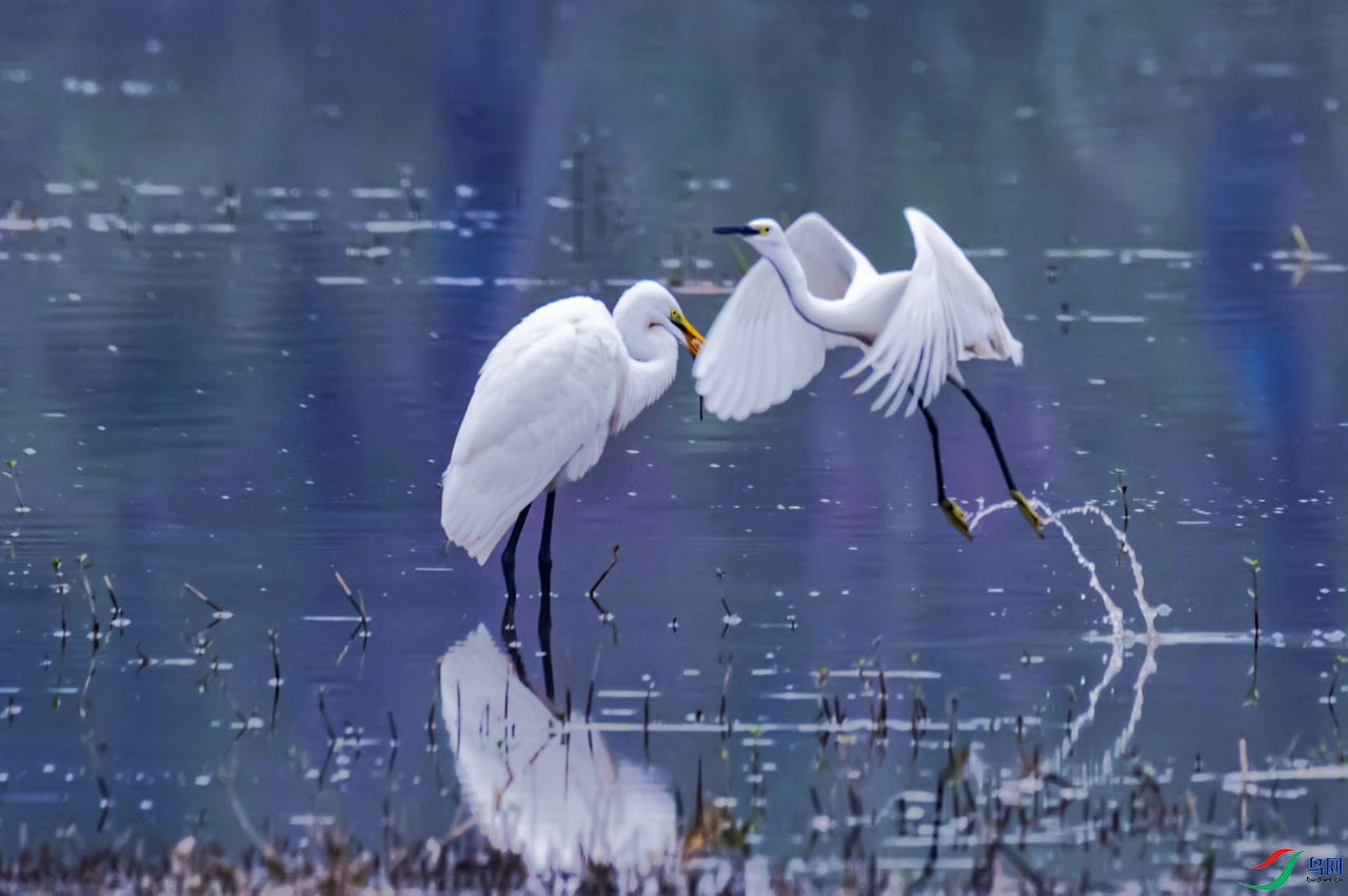 �������ԣ�������           �����&����