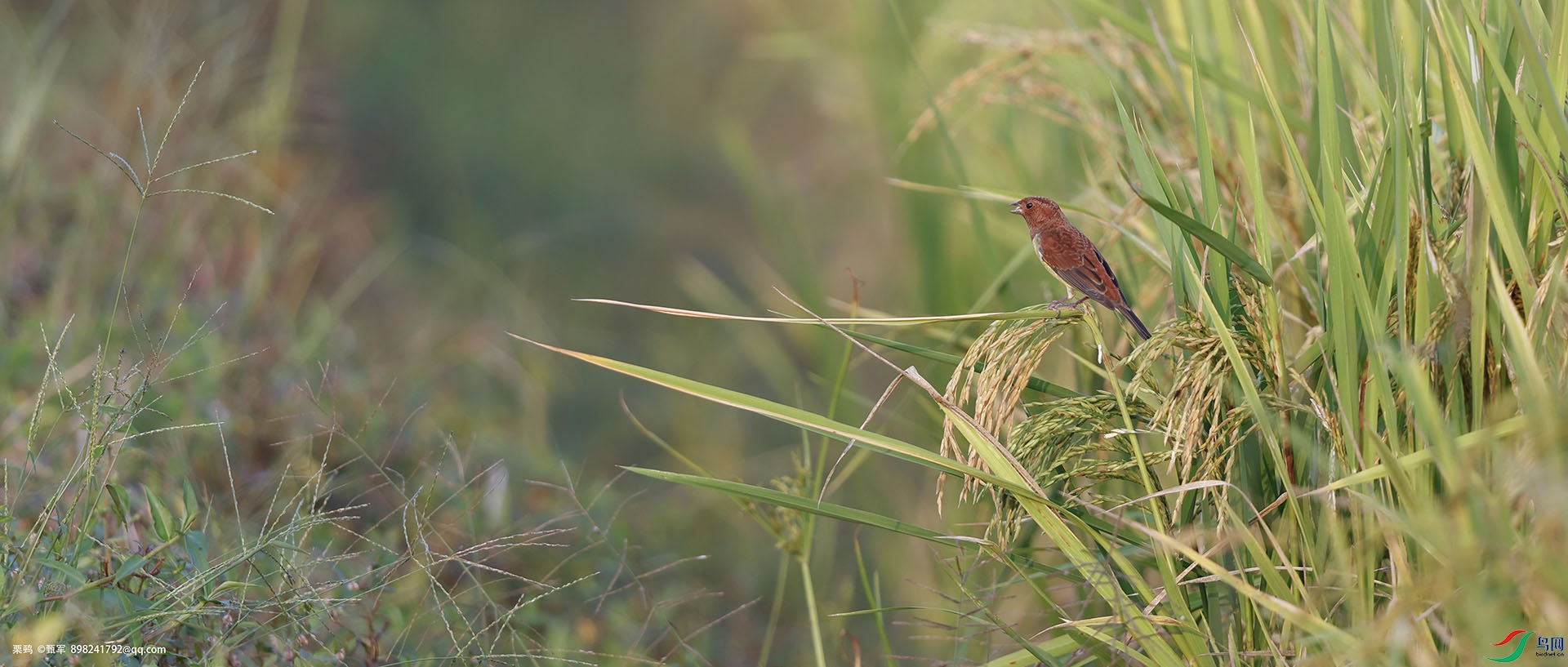 _J9A8226 ����.jpg