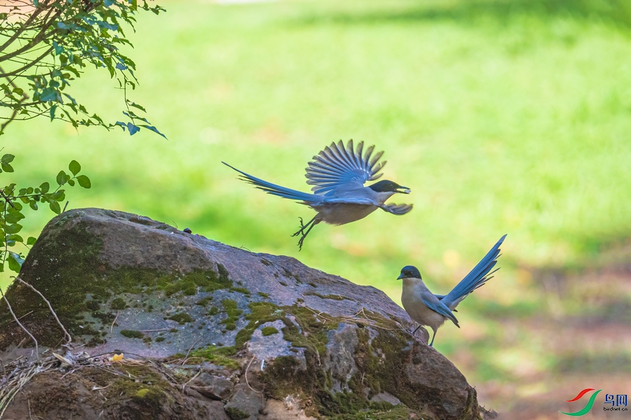 DSC_5029a.jpg