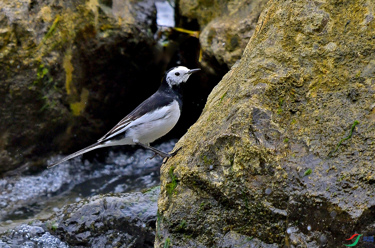 DSC_0746.JPG