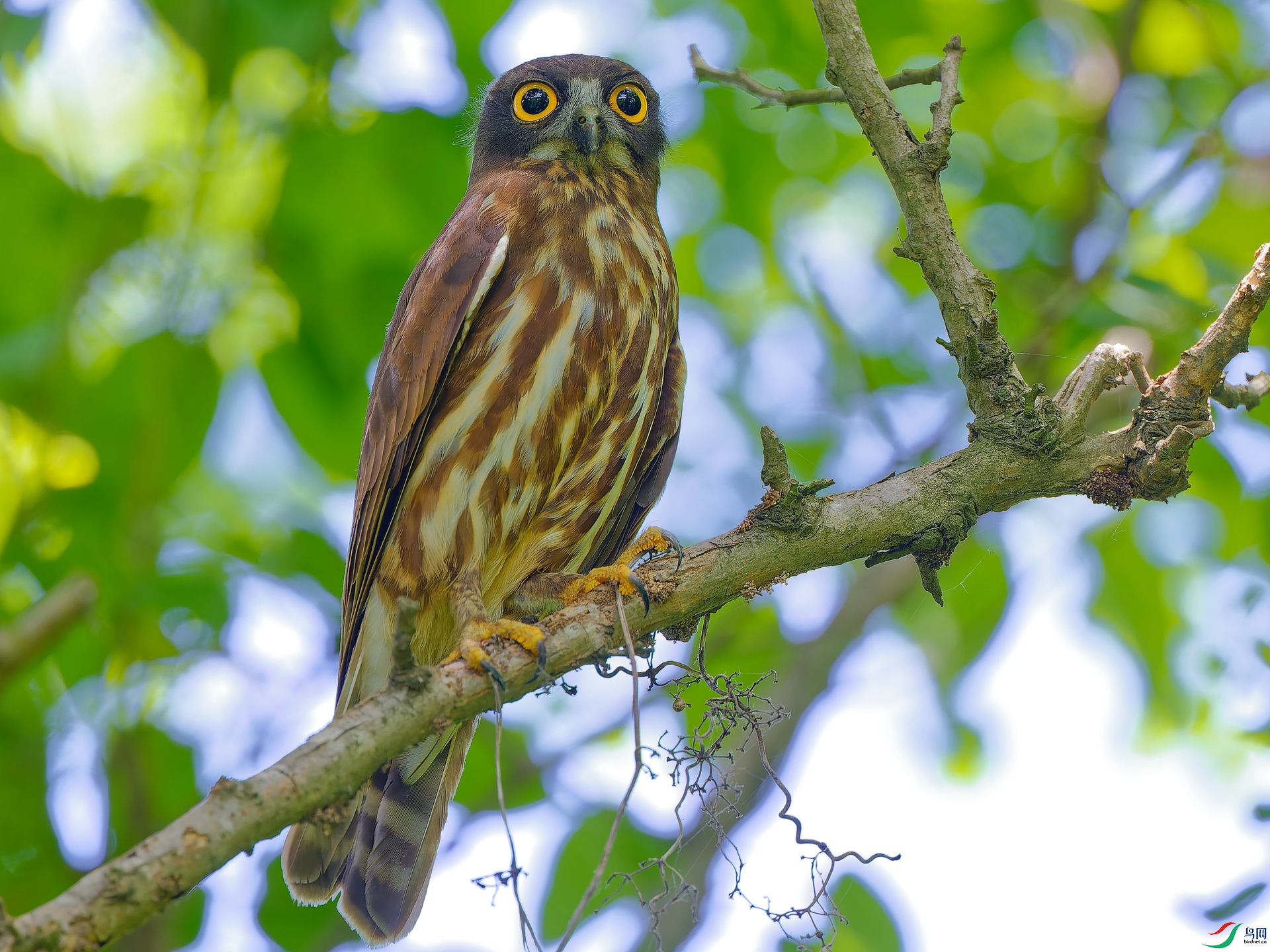 ӥ�^.jpg