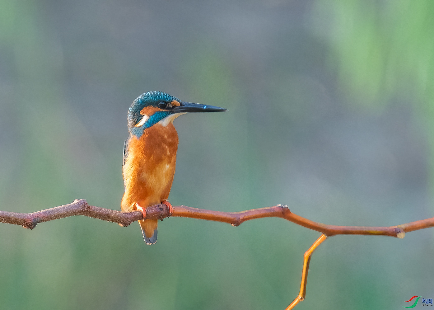 DSC_5272.jpg