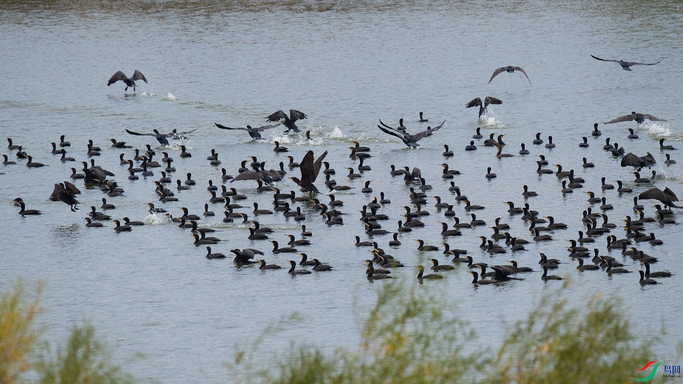 DSC_0776.jpg