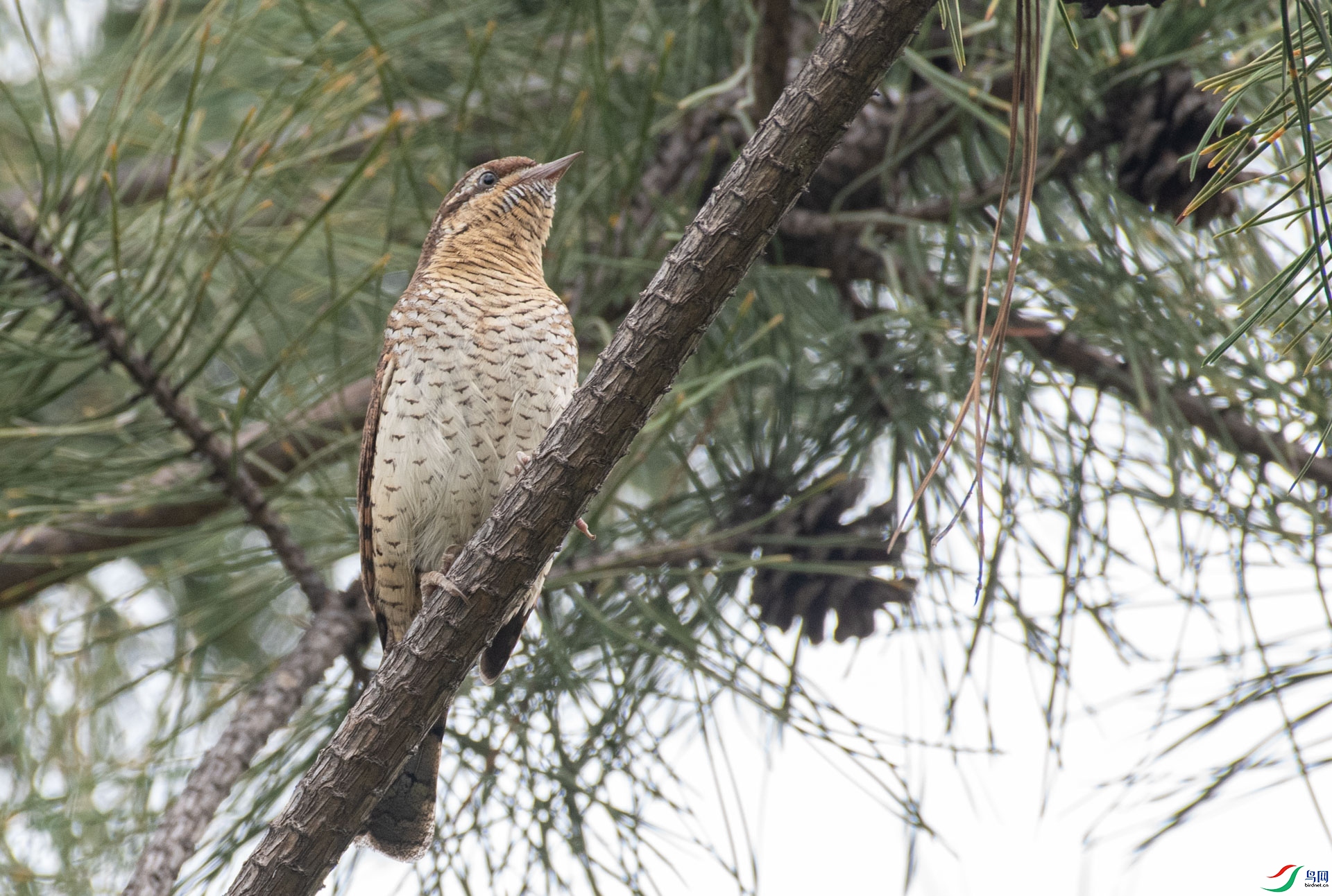 DSC_7159.jpg