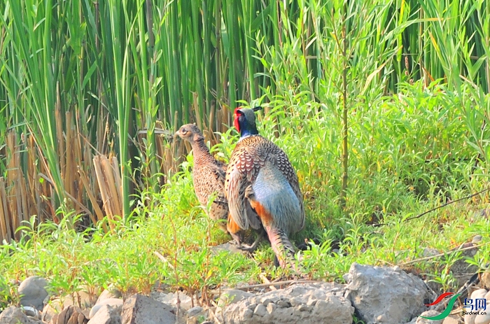 DSC_9871.JPG