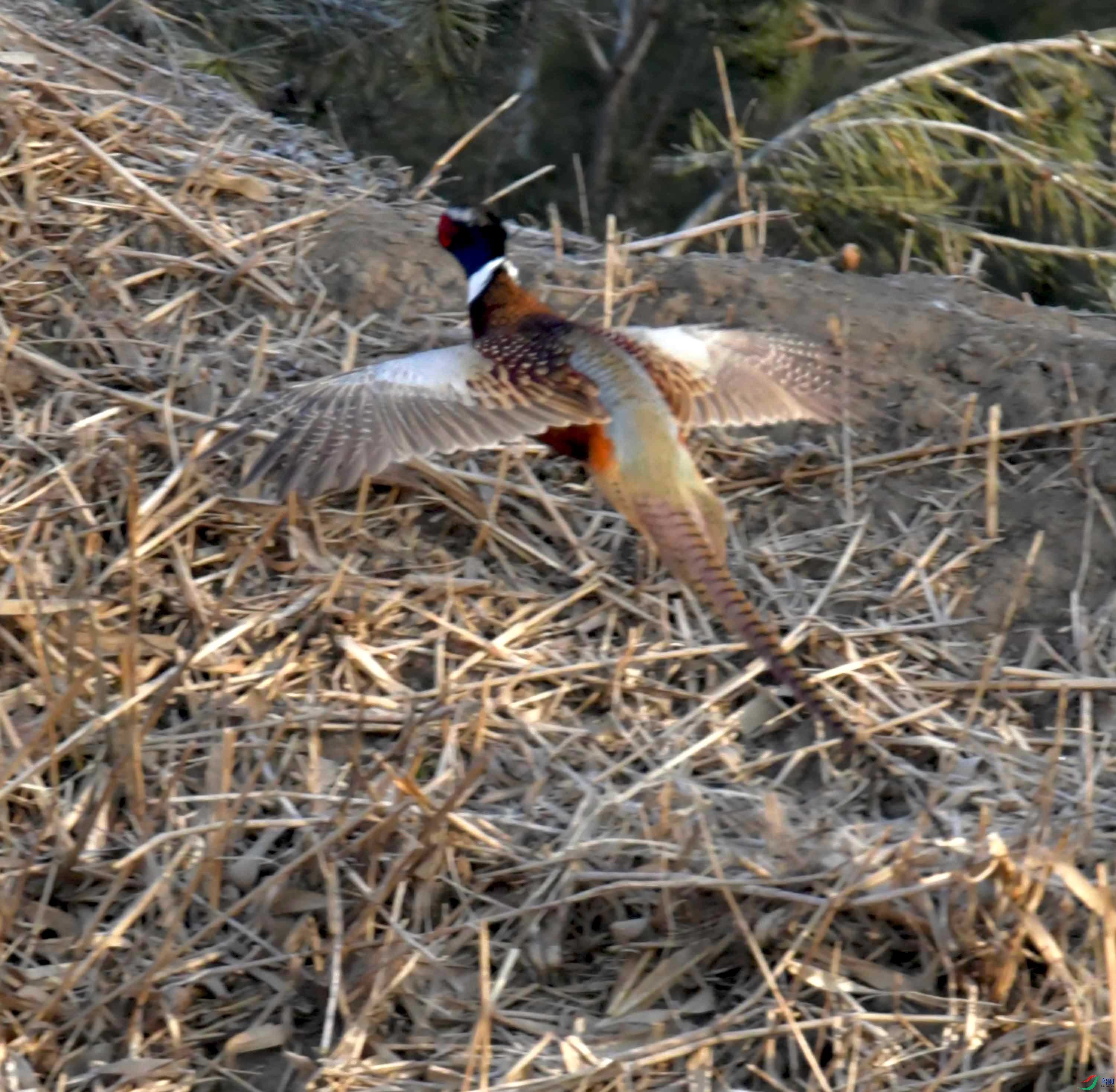 DSC_9972.JPG