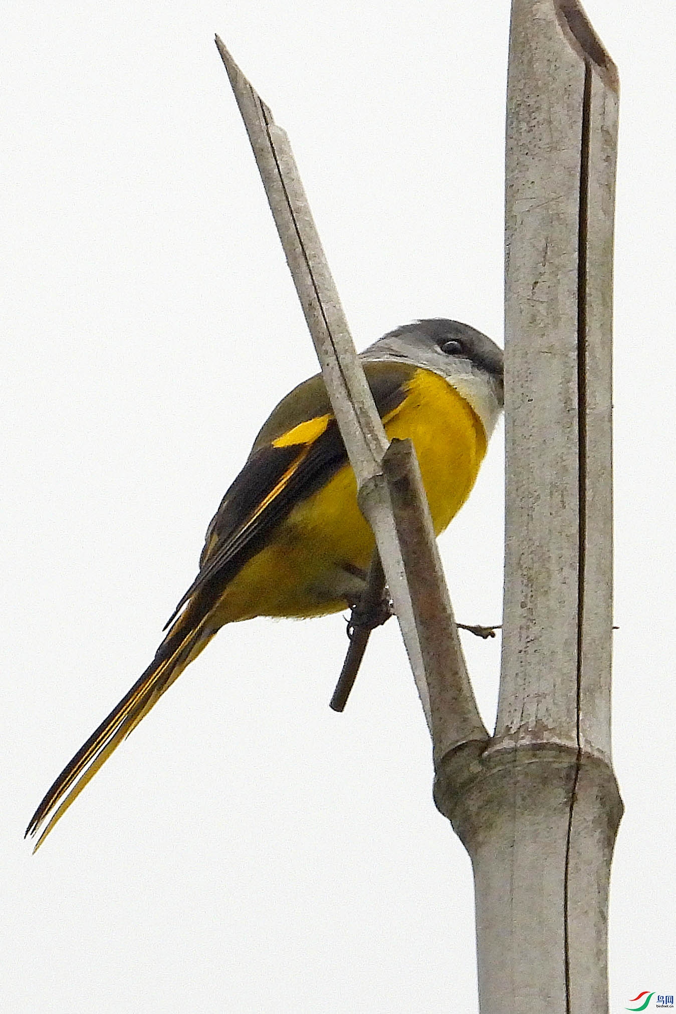 DSCN9454.JPG