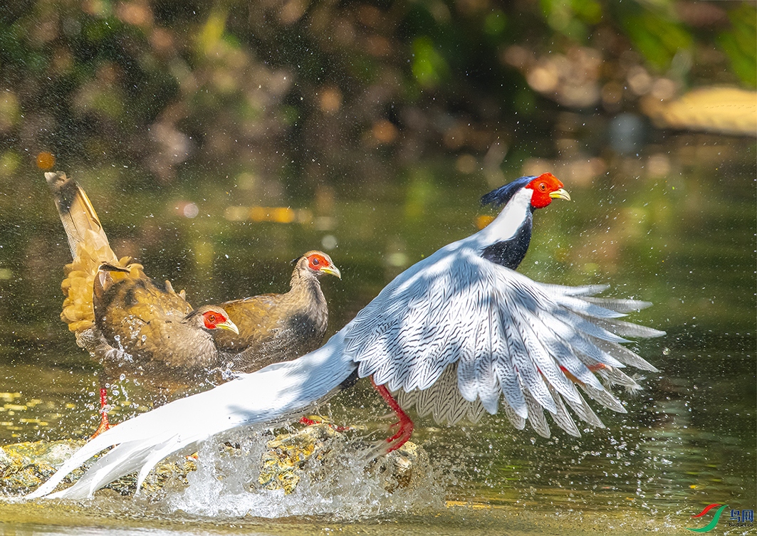 8502 ���� 2.jpg