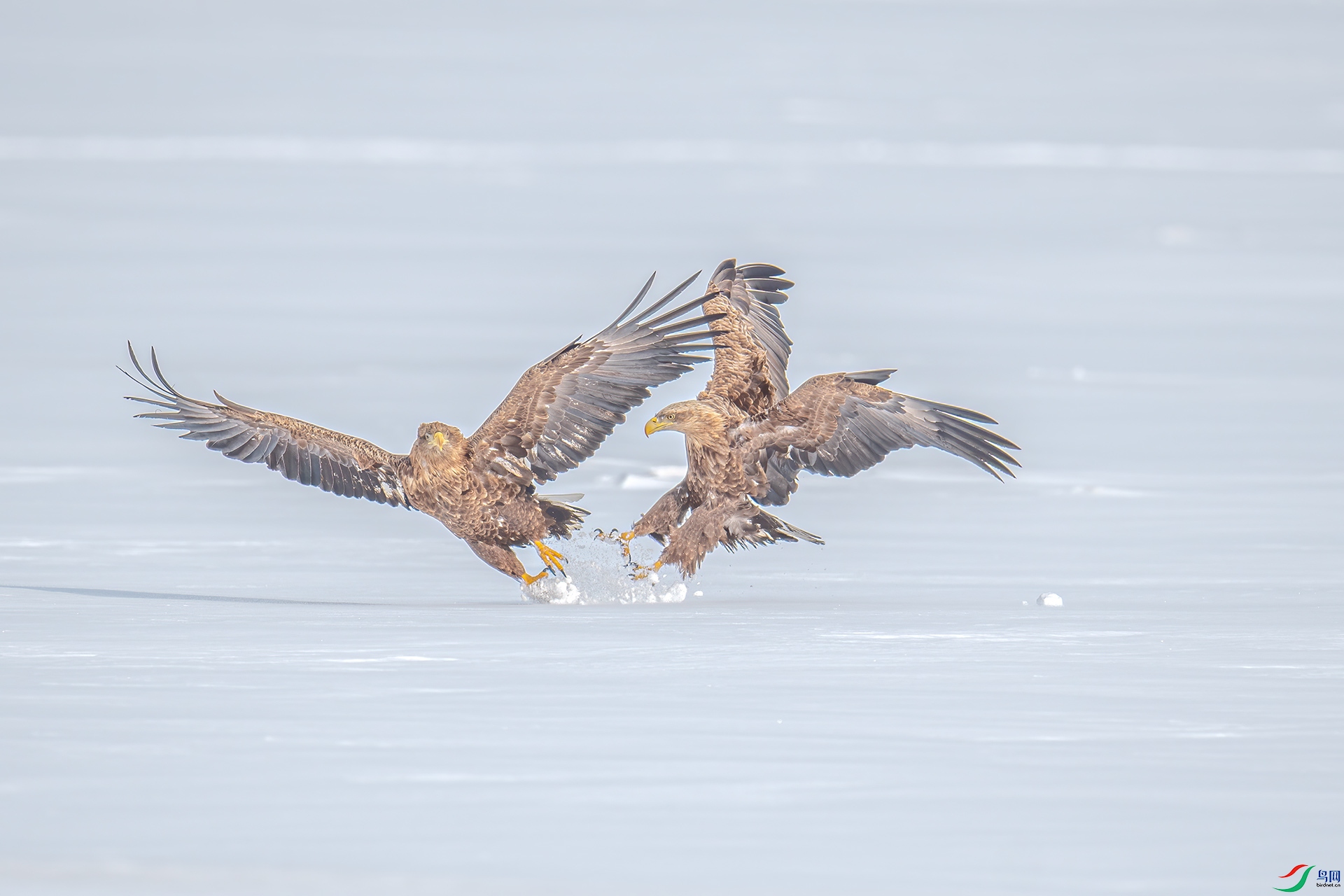 DSC_0623-a500k.jpg