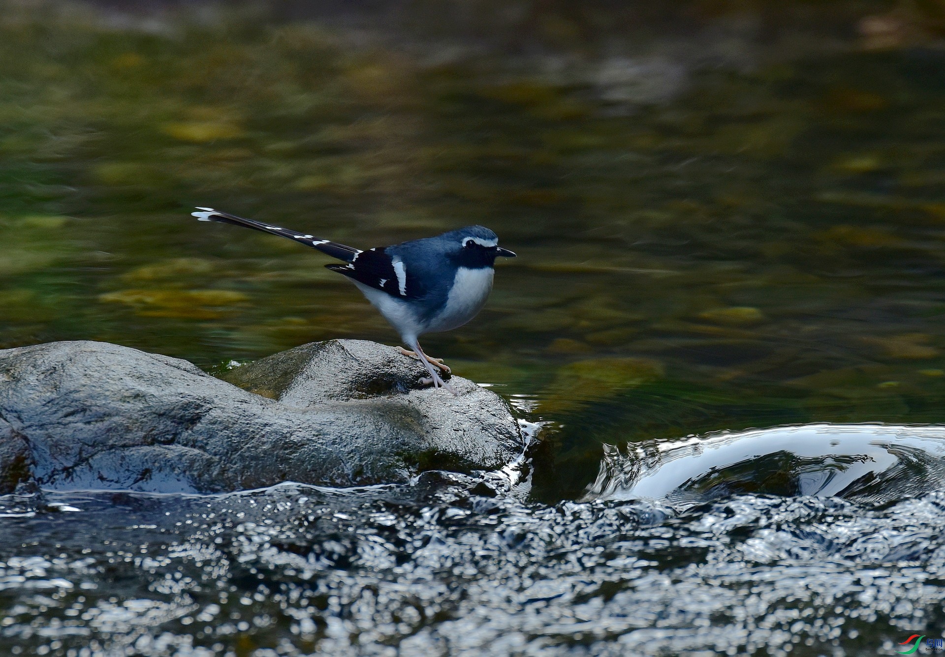 D8I_0599.jpg