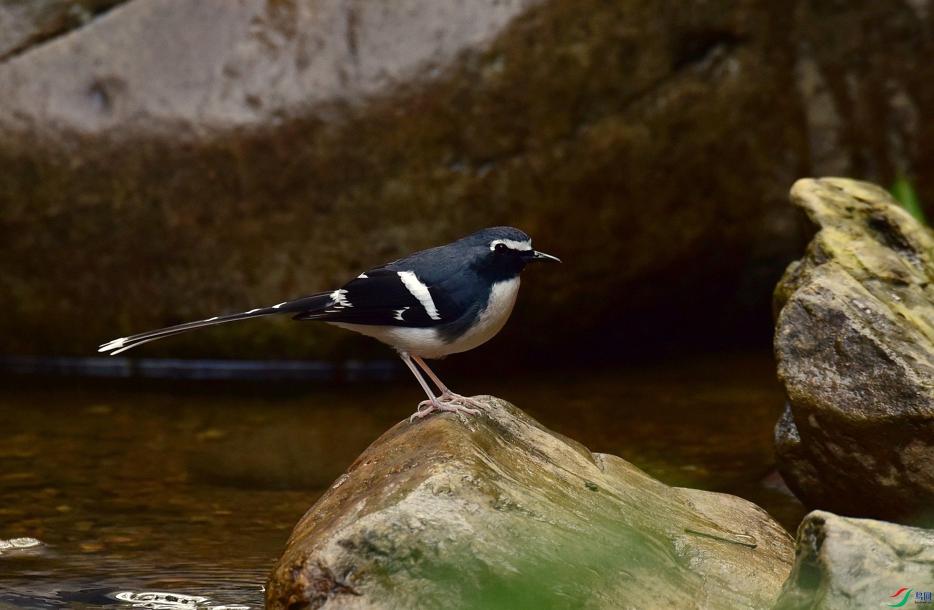 D8I_0595.jpg