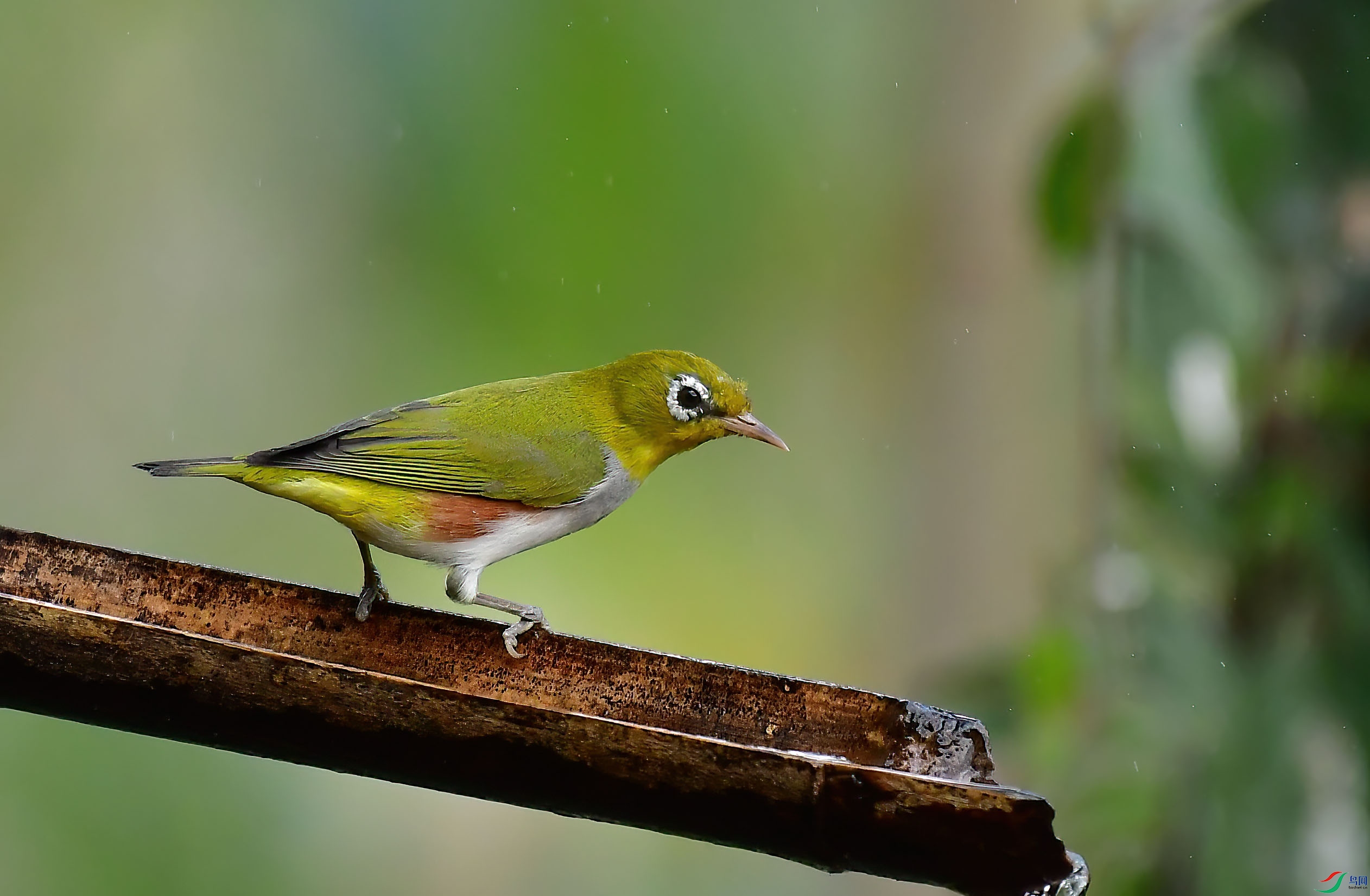 DSC_6722 ����.jpg