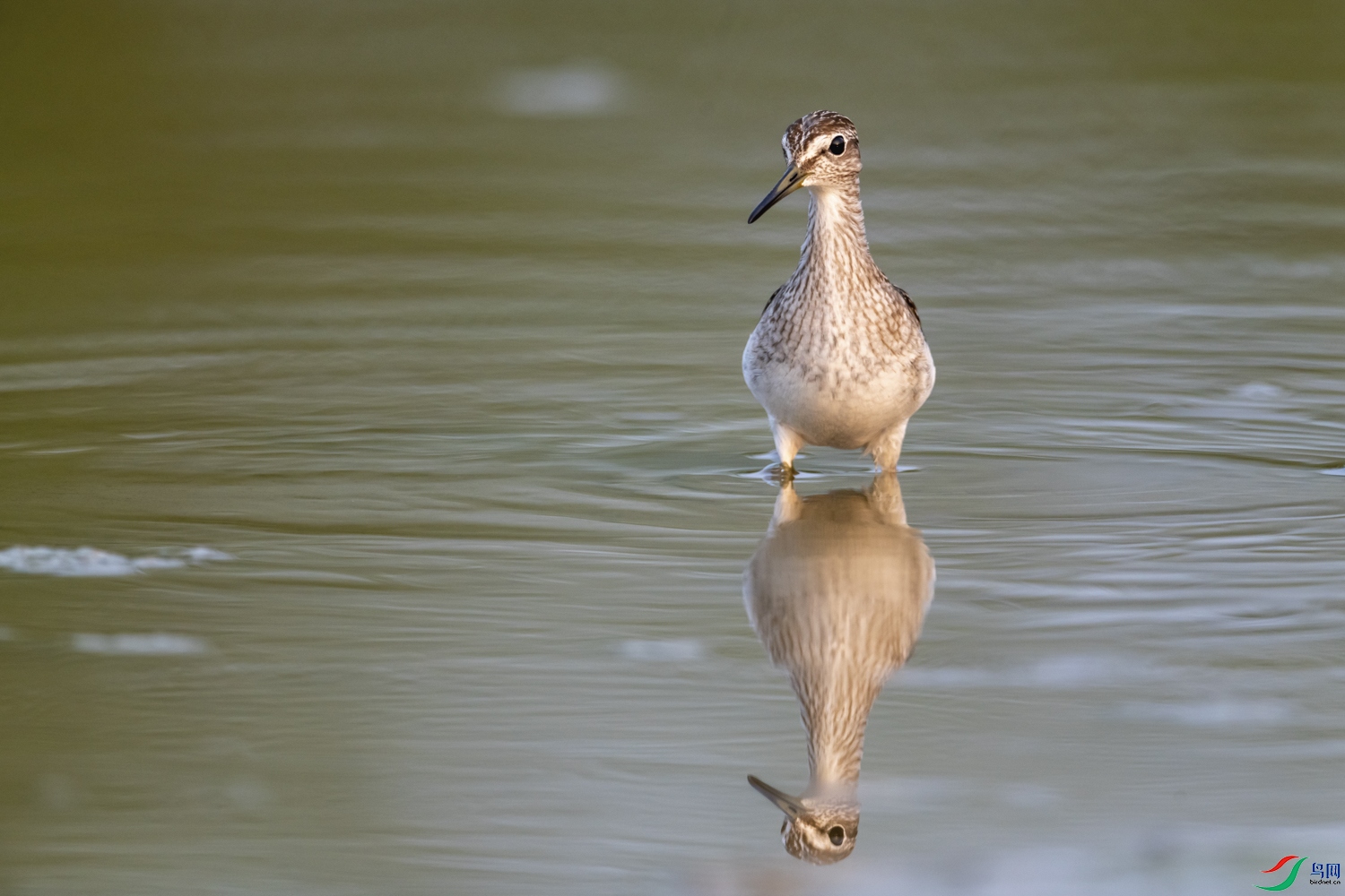 DSC_5346_1.jpg