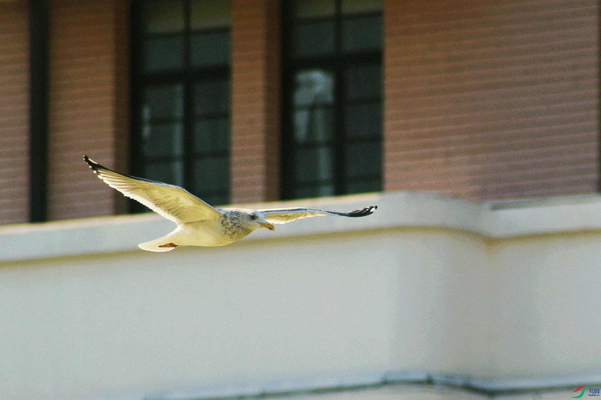 DSC_0188_����.jpg