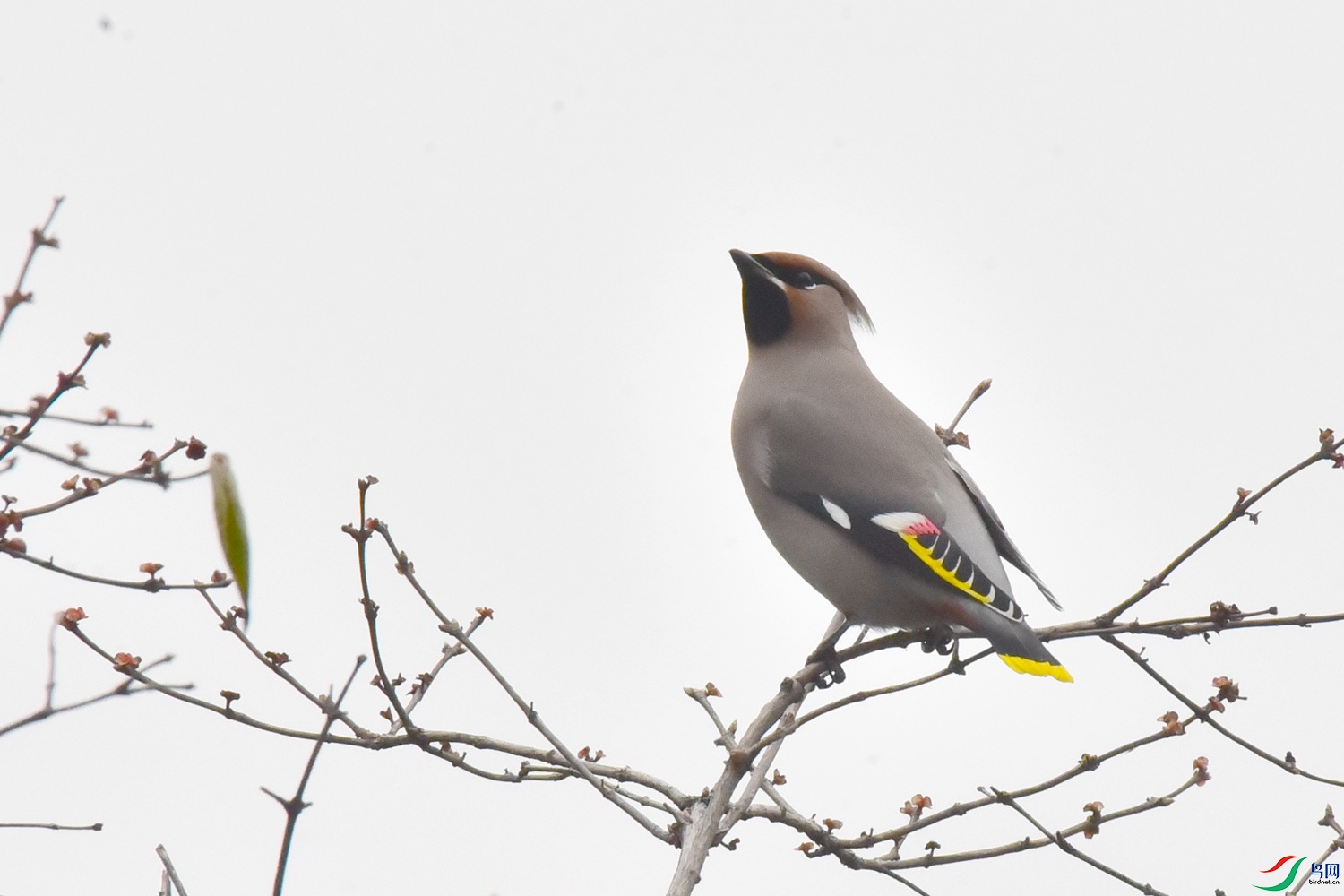 DSC_5173.JPG