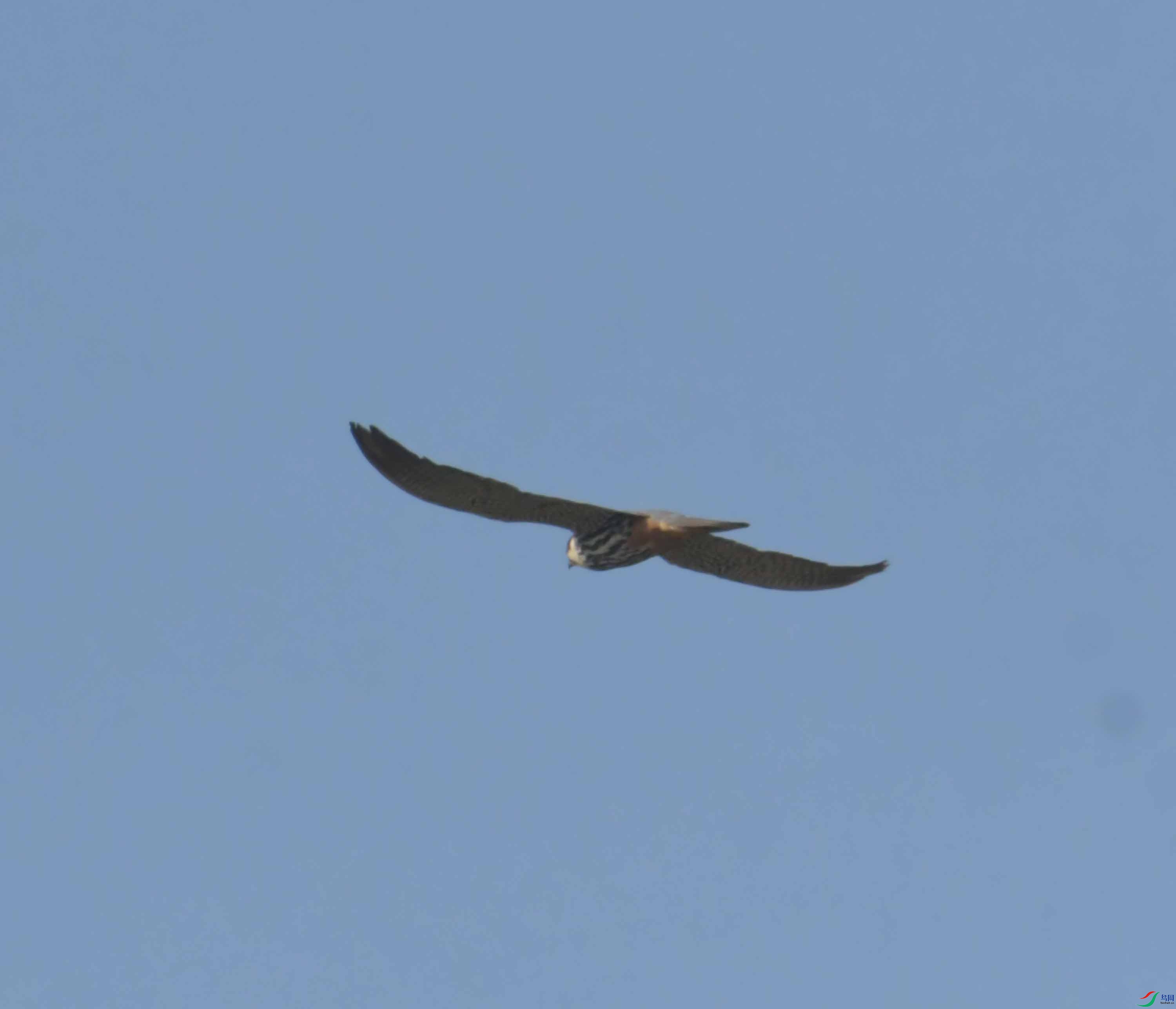 DSC_1640.JPG