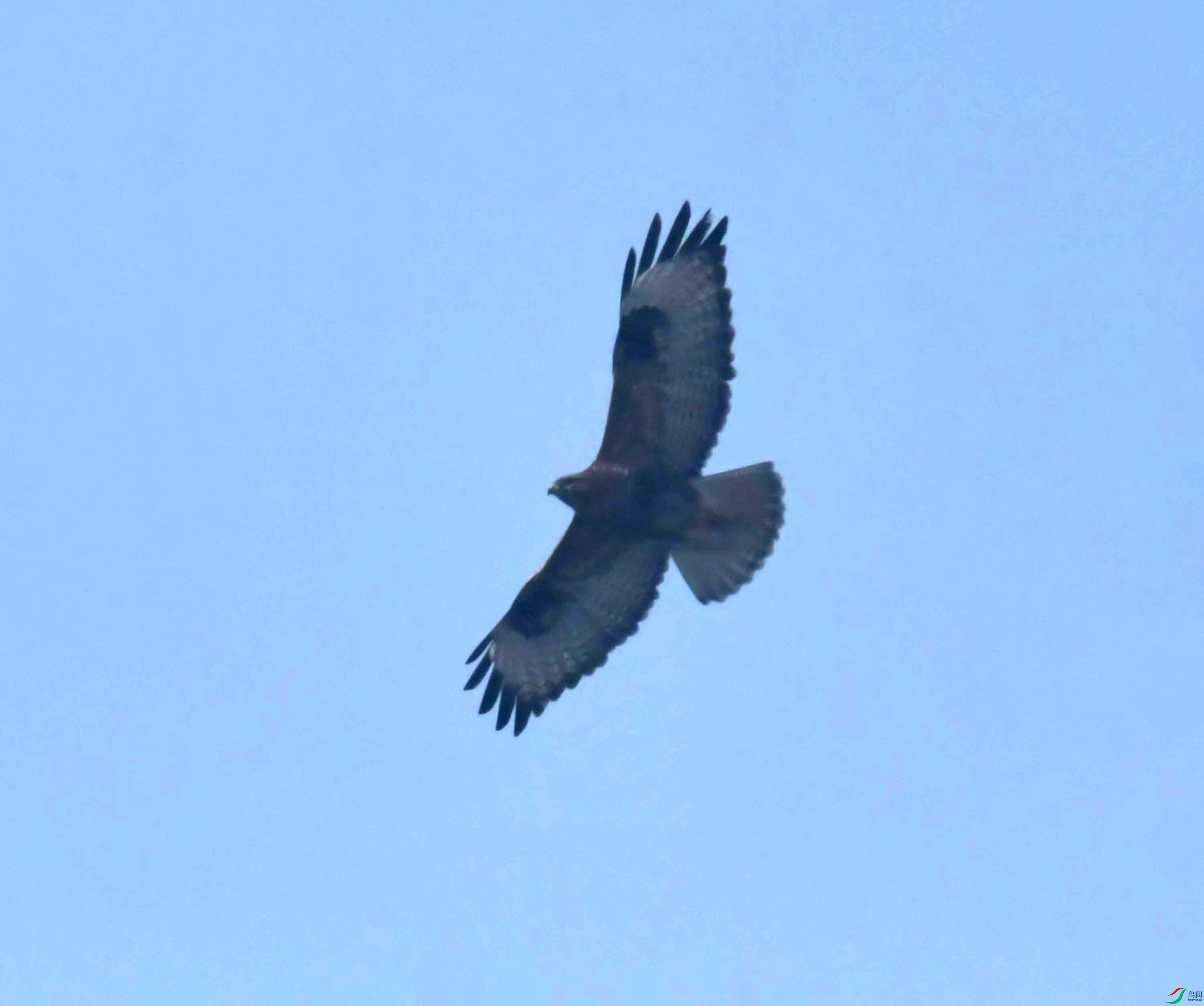 DSC_0067.JPG