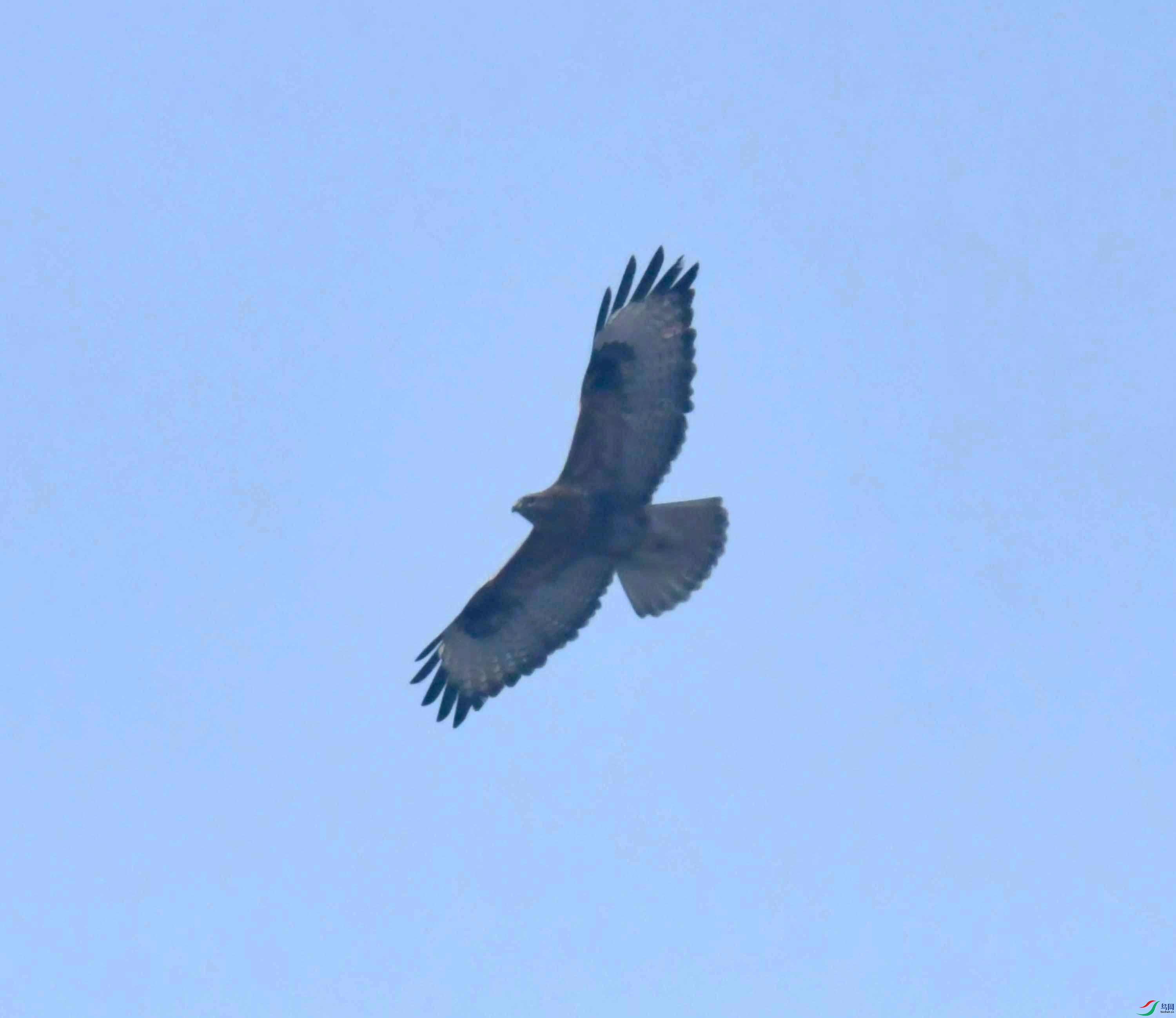 DSC_0066.JPG