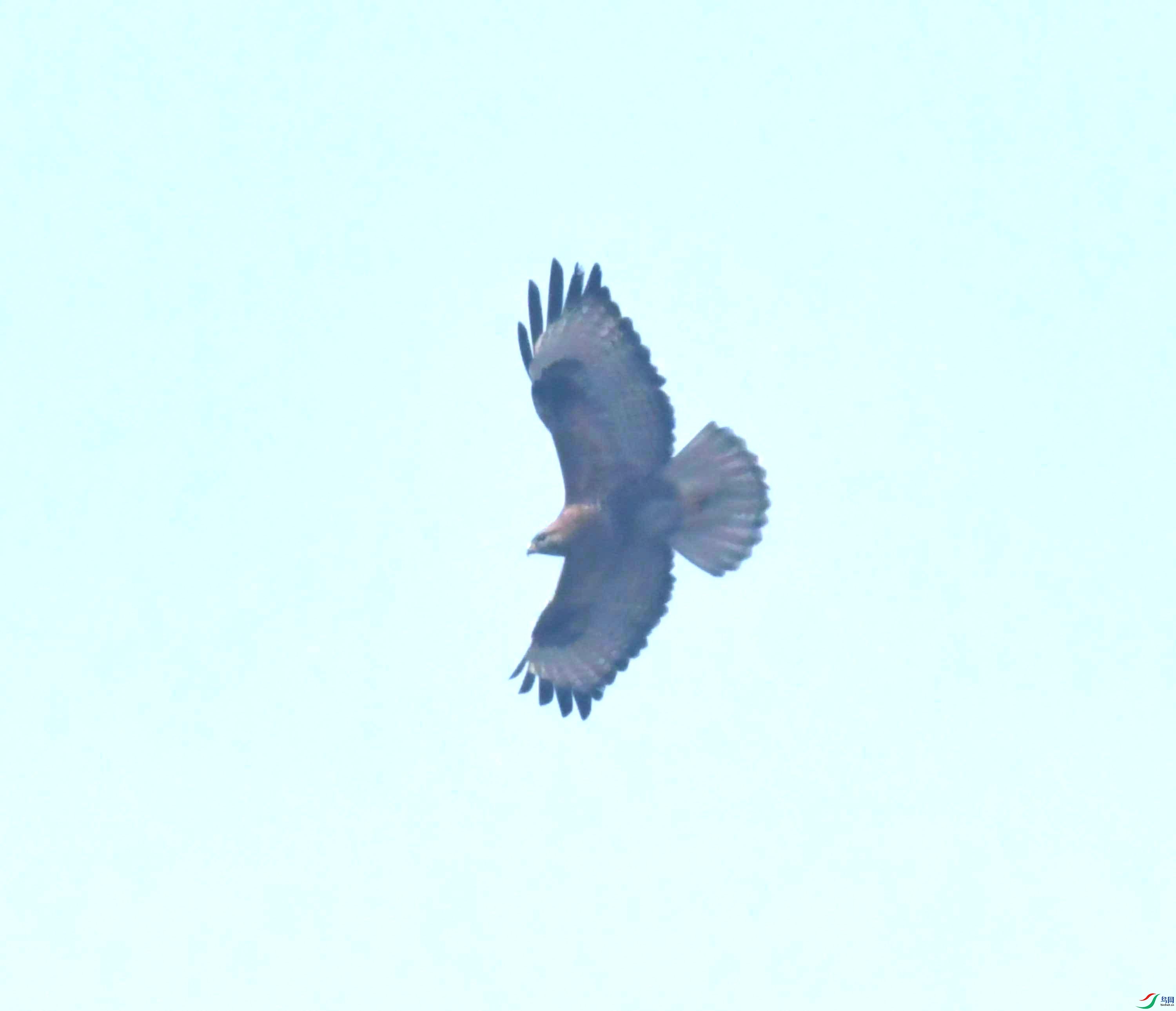 DSC_0061.JPG