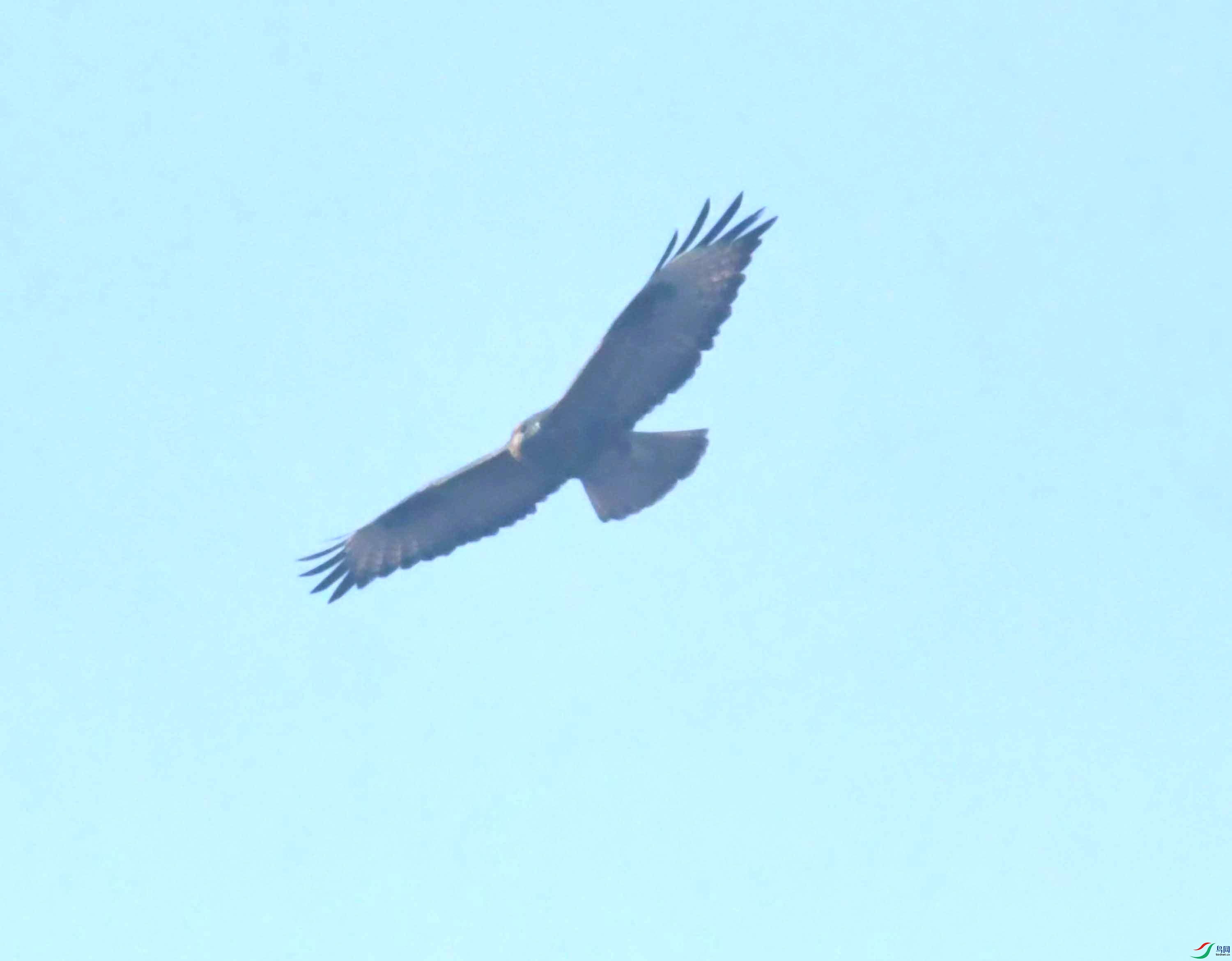 DSC_0077.JPG
