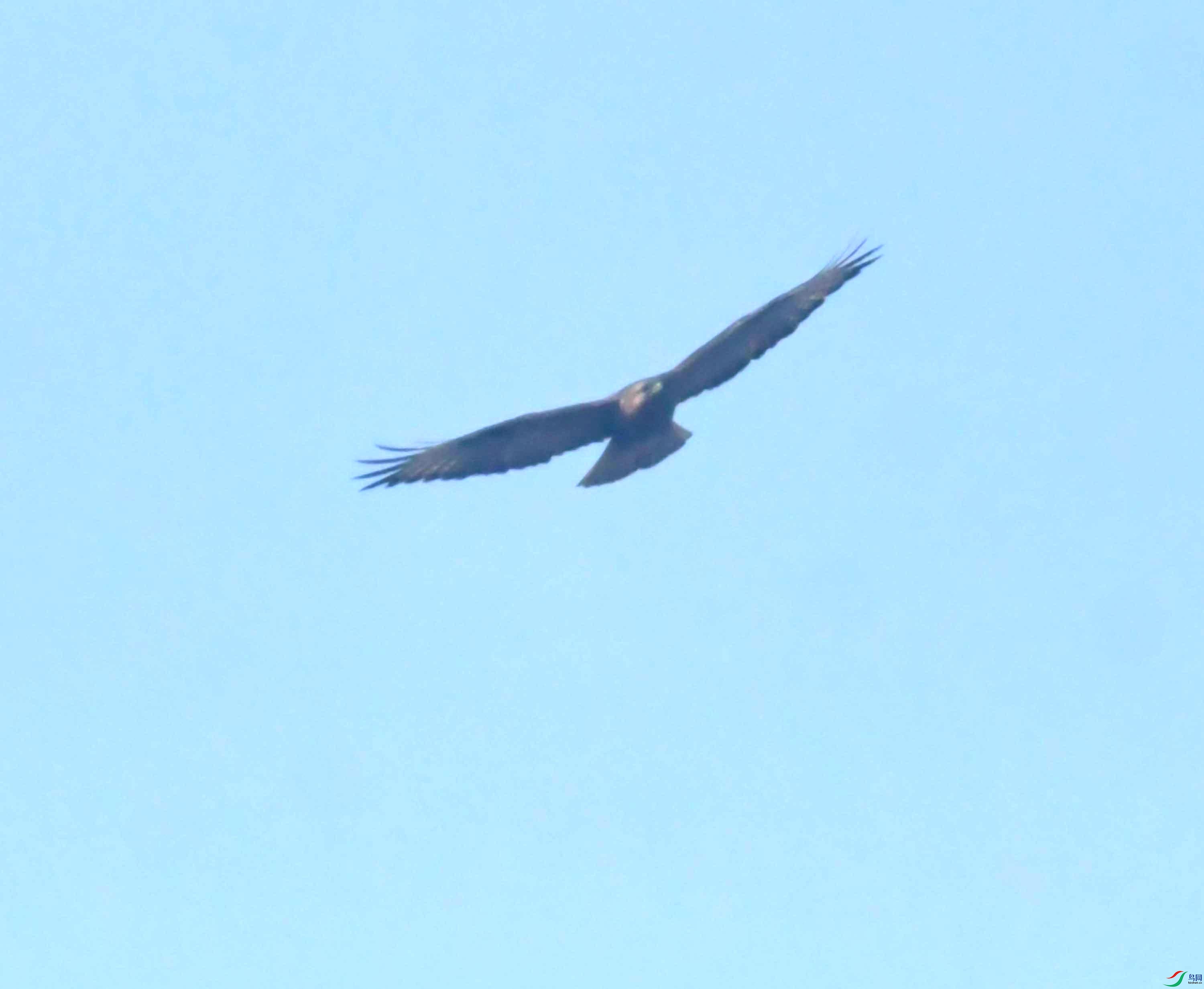 DSC_0074.JPG