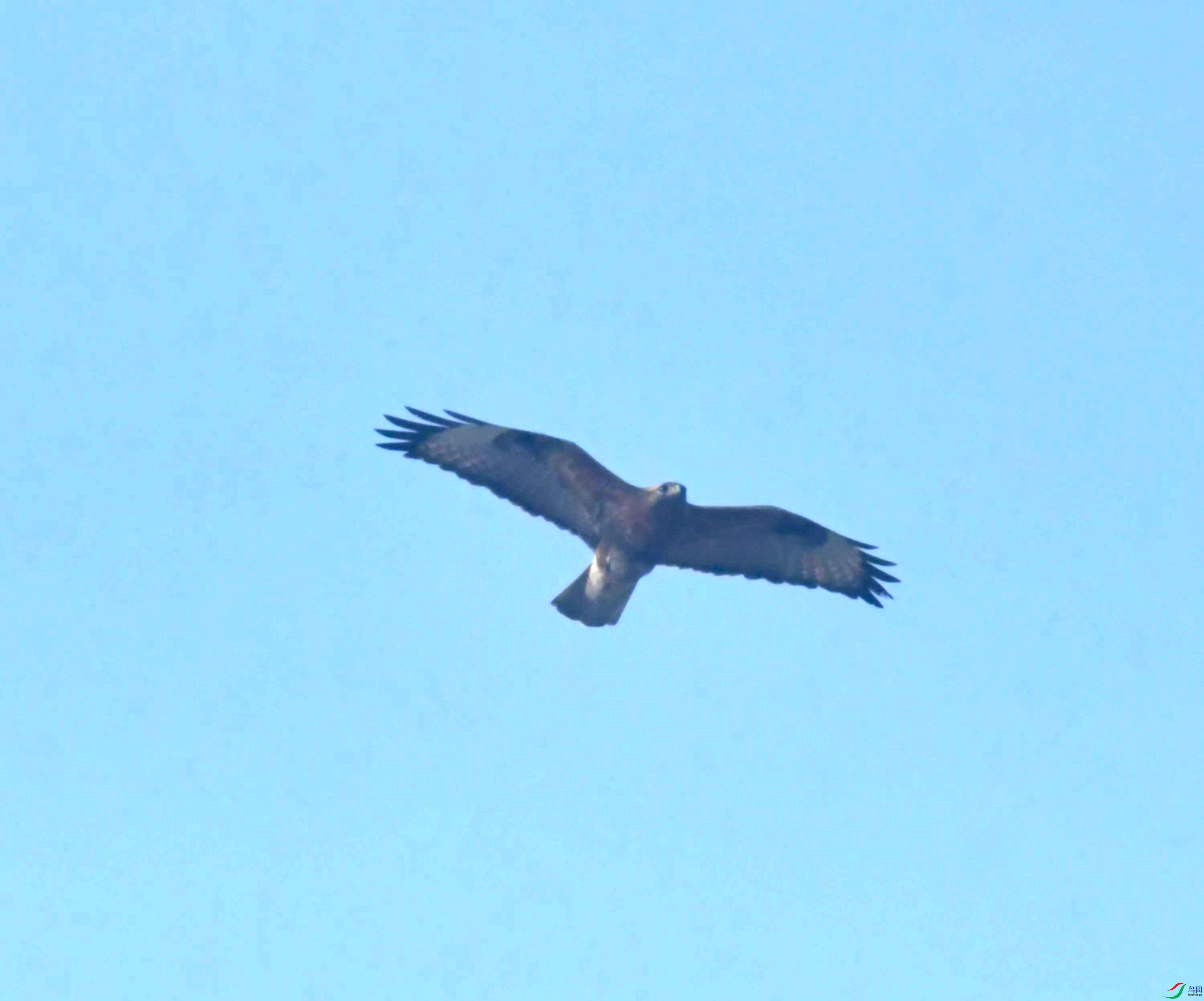 DSC_0082.JPG