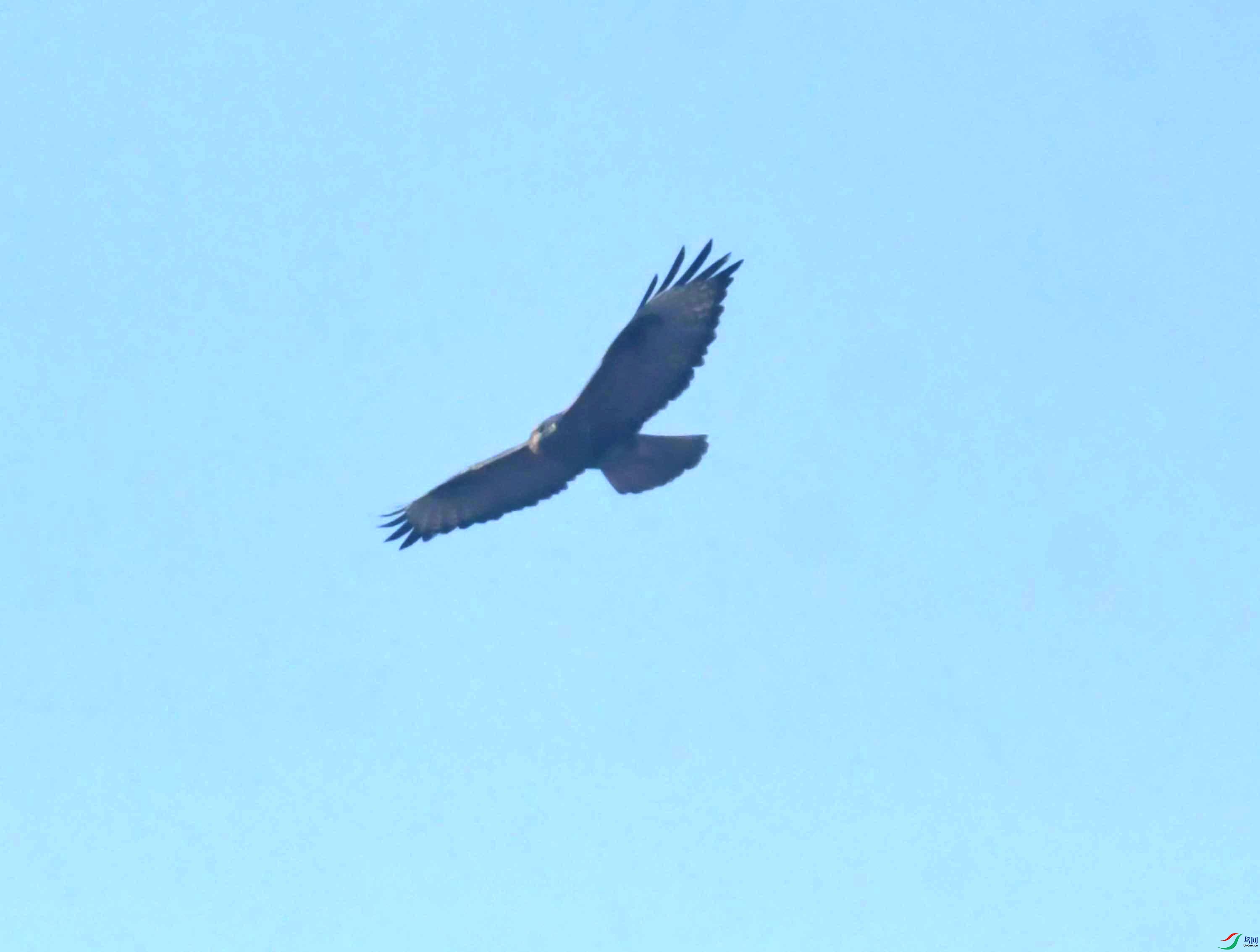 DSC_0079.JPG
