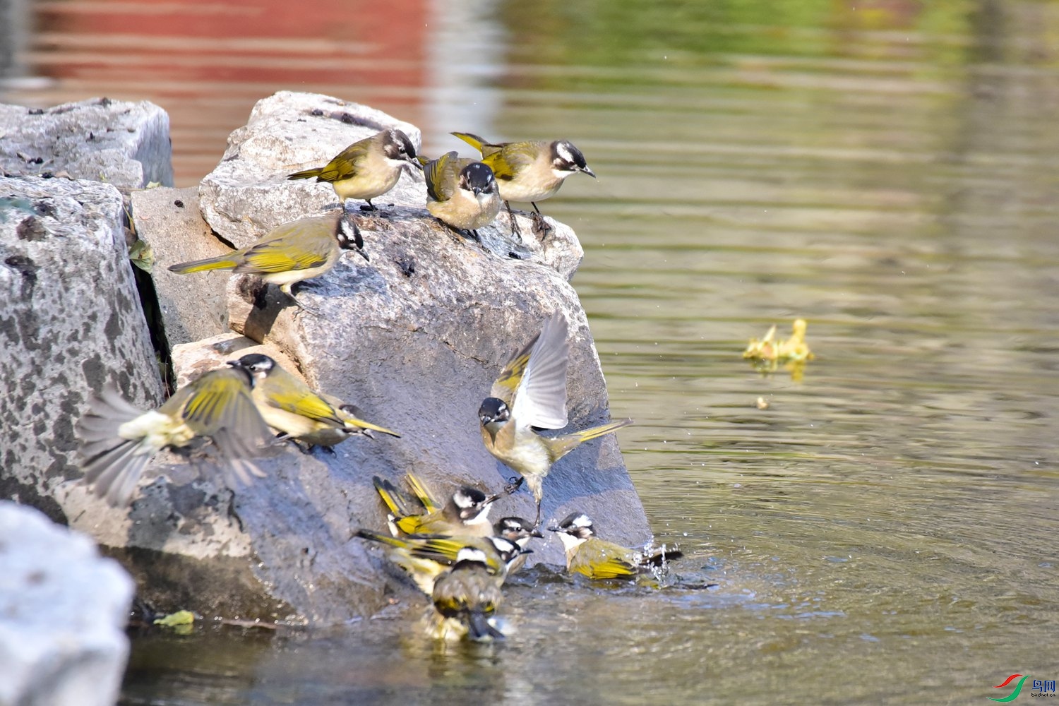 DSC_6735.JPG