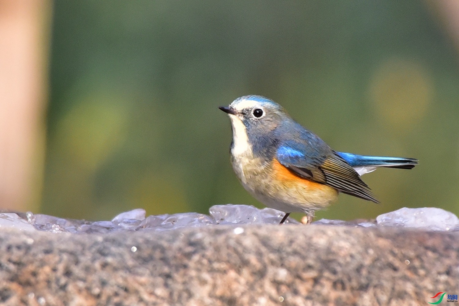 DSC_8644.JPG