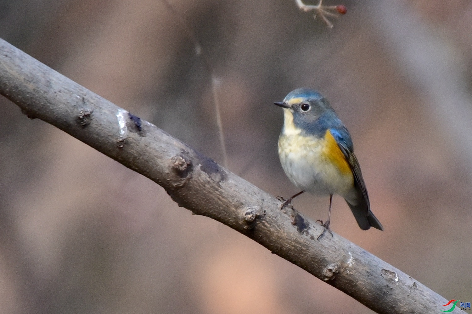 DSC_8791.JPG