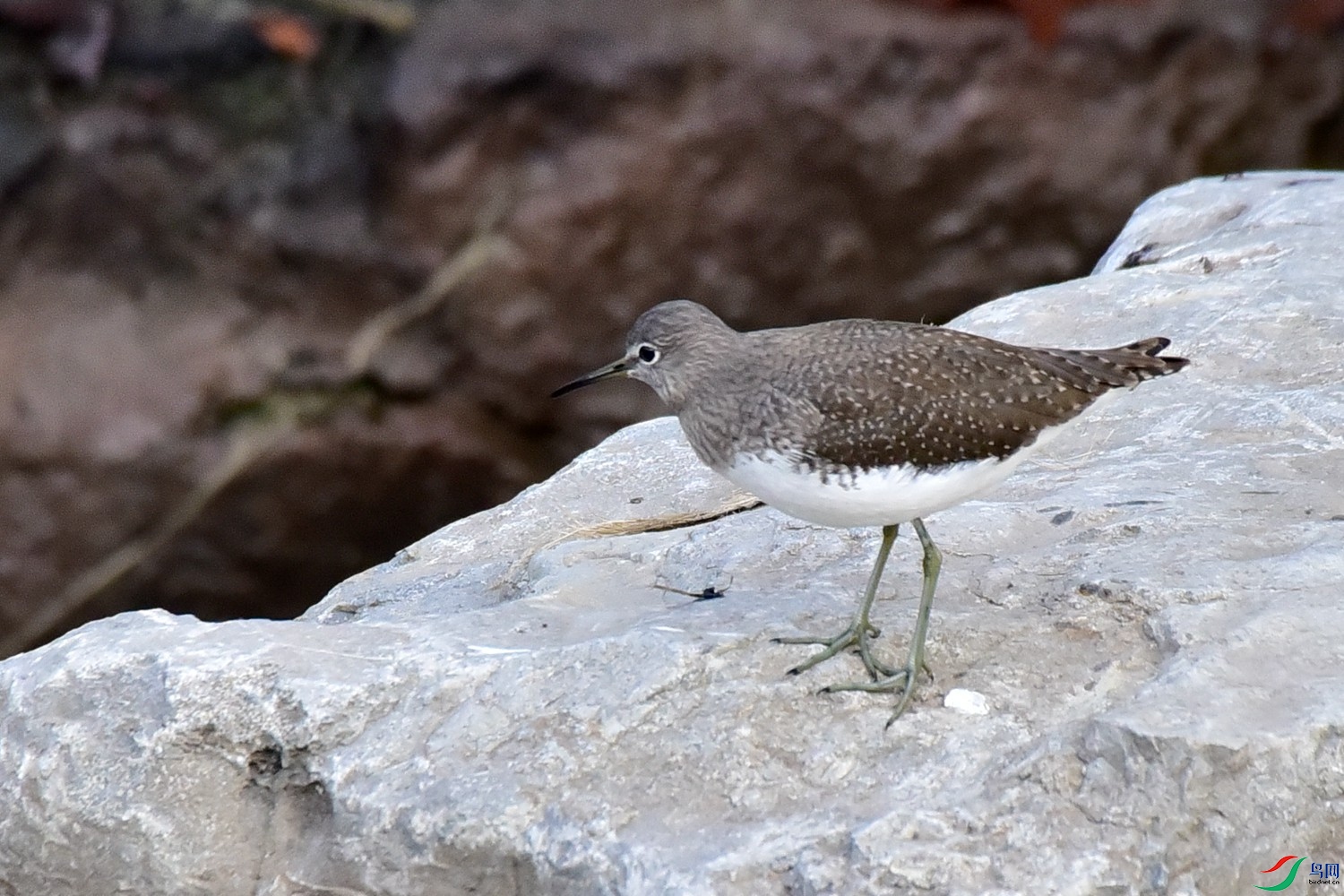 DSC_9635.JPG