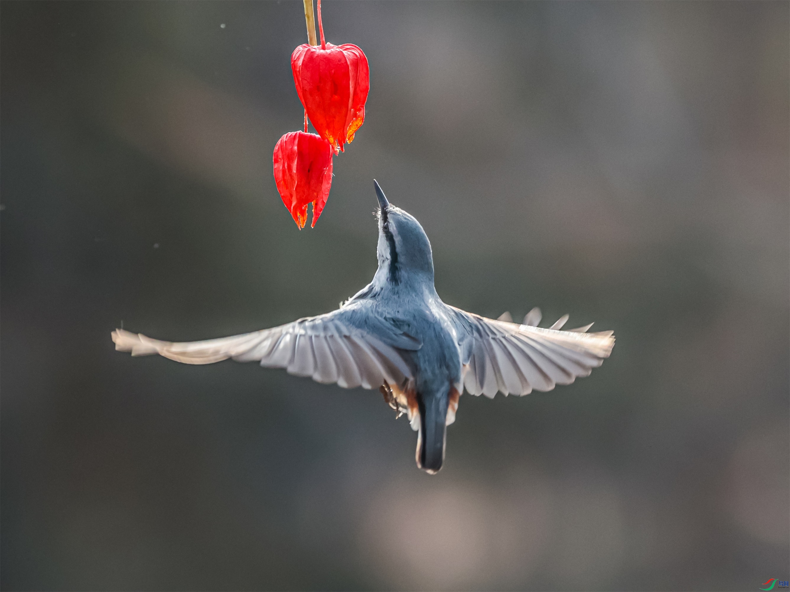 1K3A4180 ����1.jpg