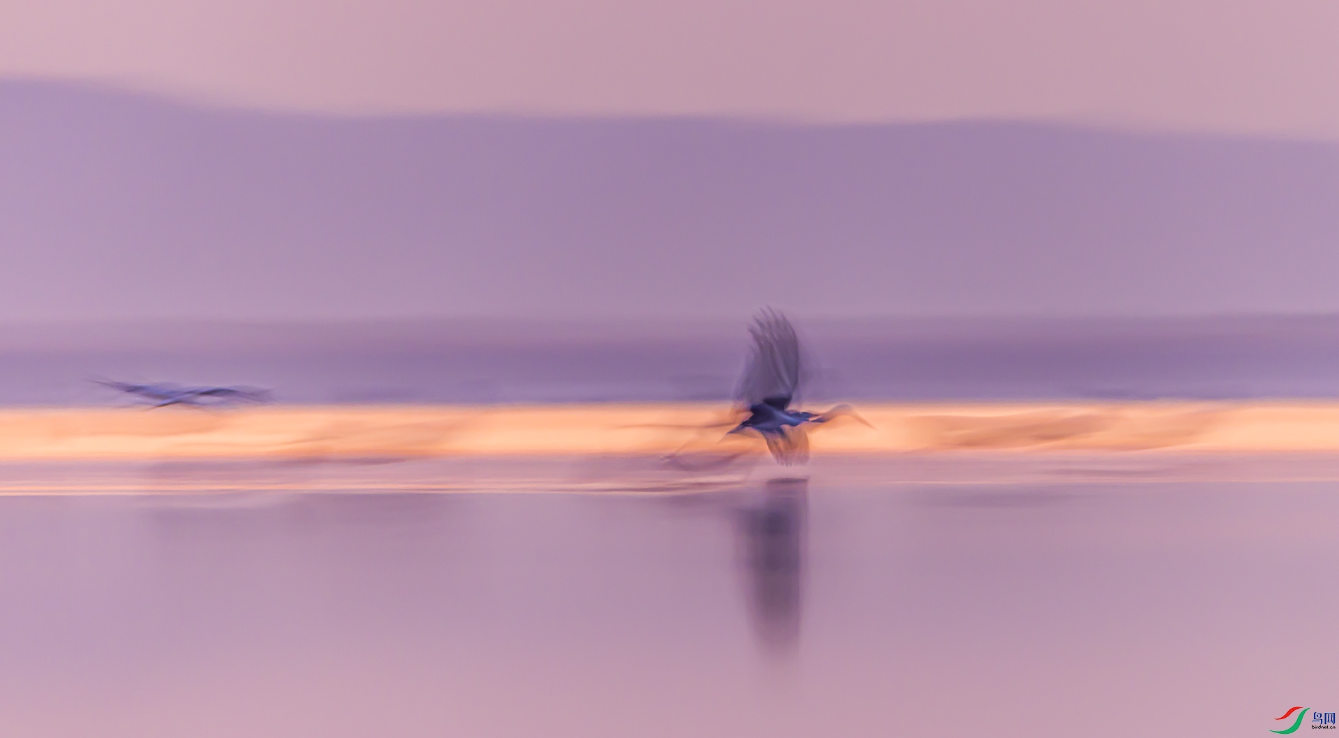 407A9796---1 .jpg