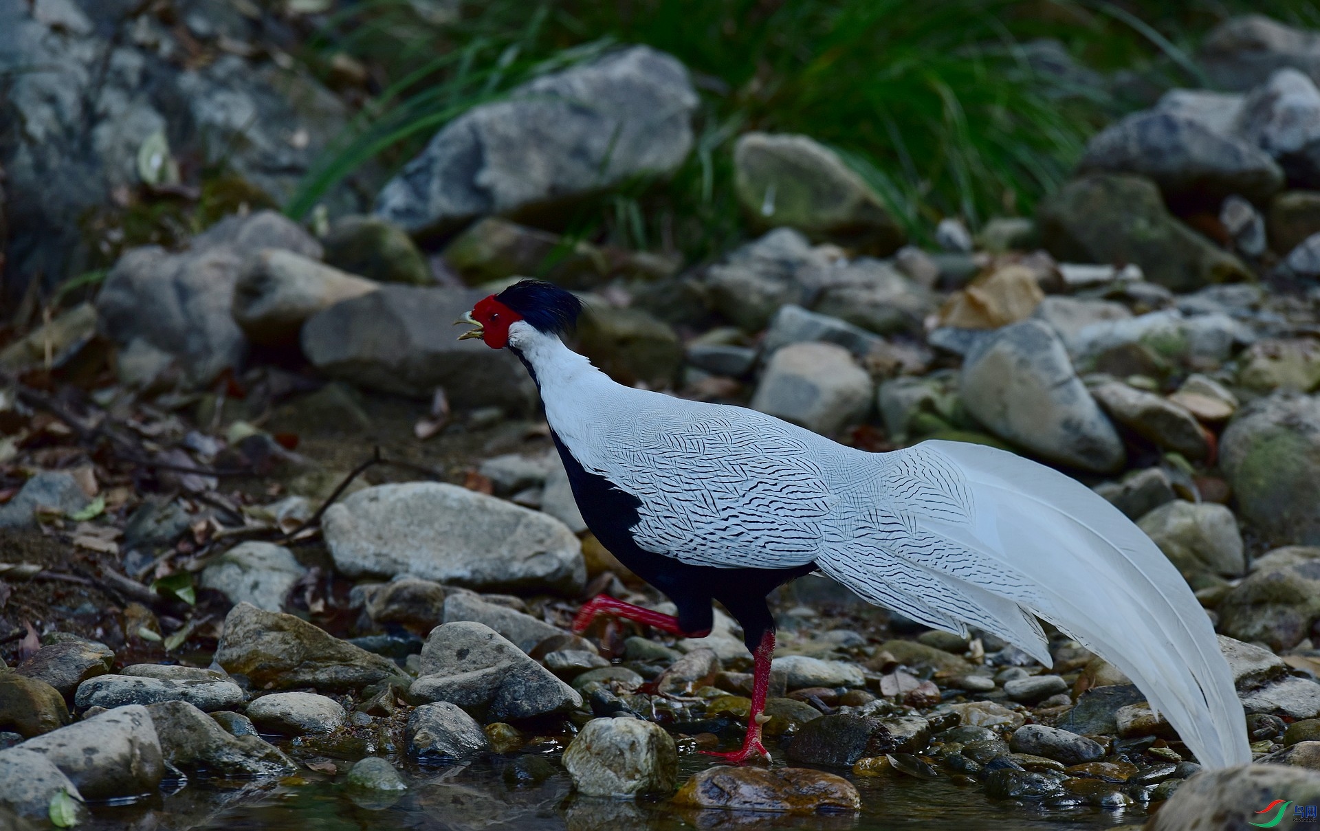D8I_0658.jpg