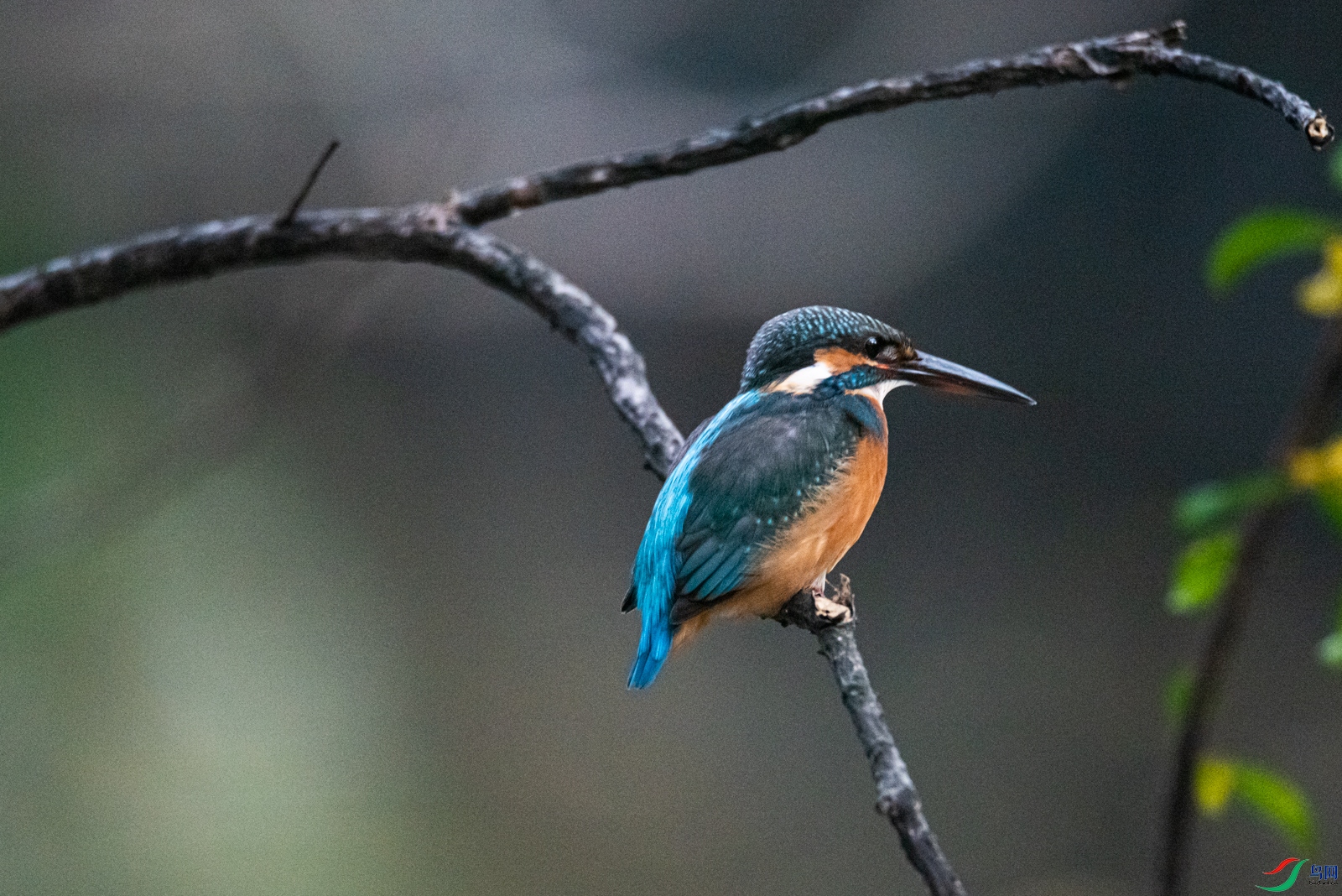 DSC_3284-2.jpg